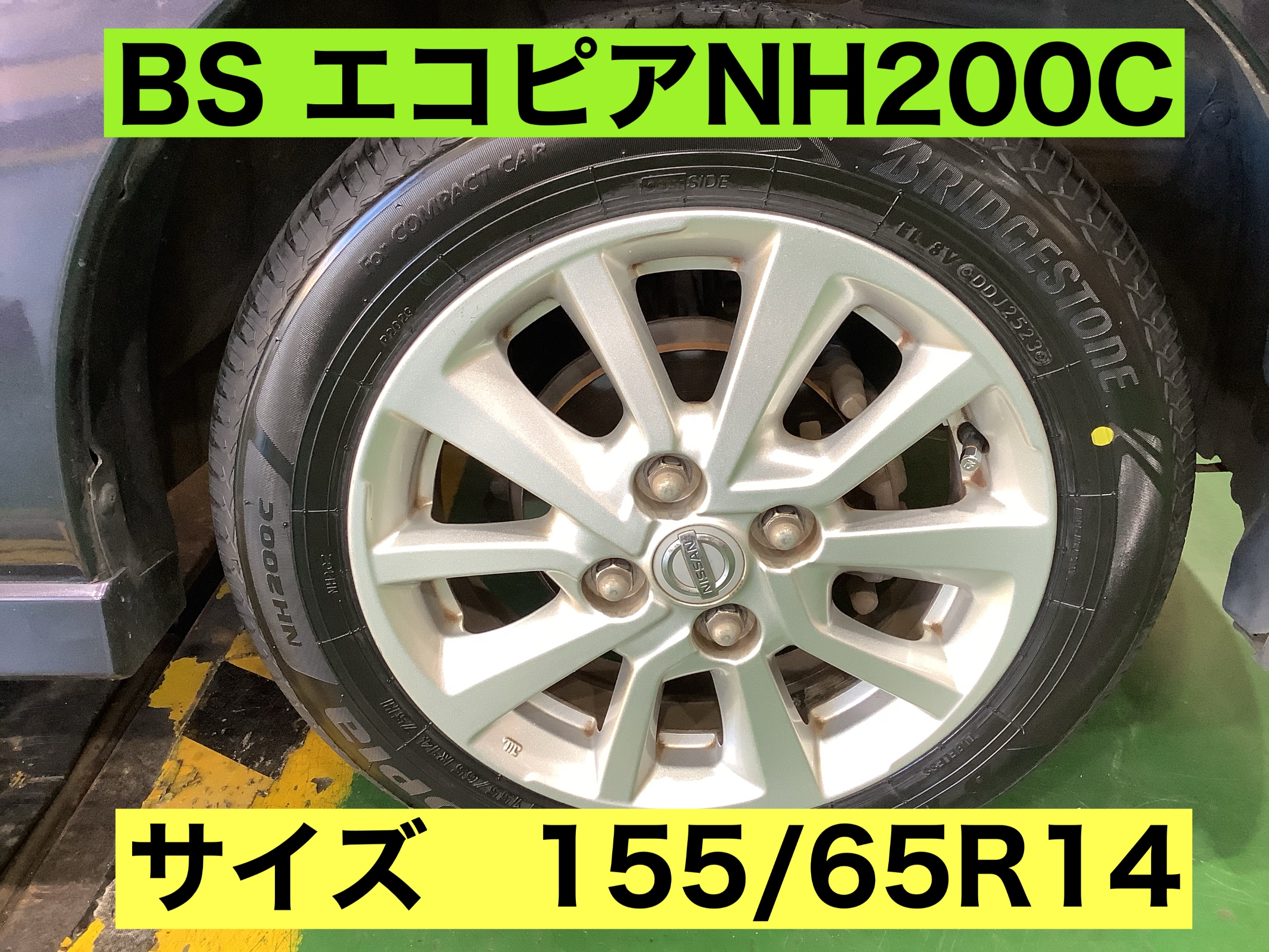 スタッフが撮影