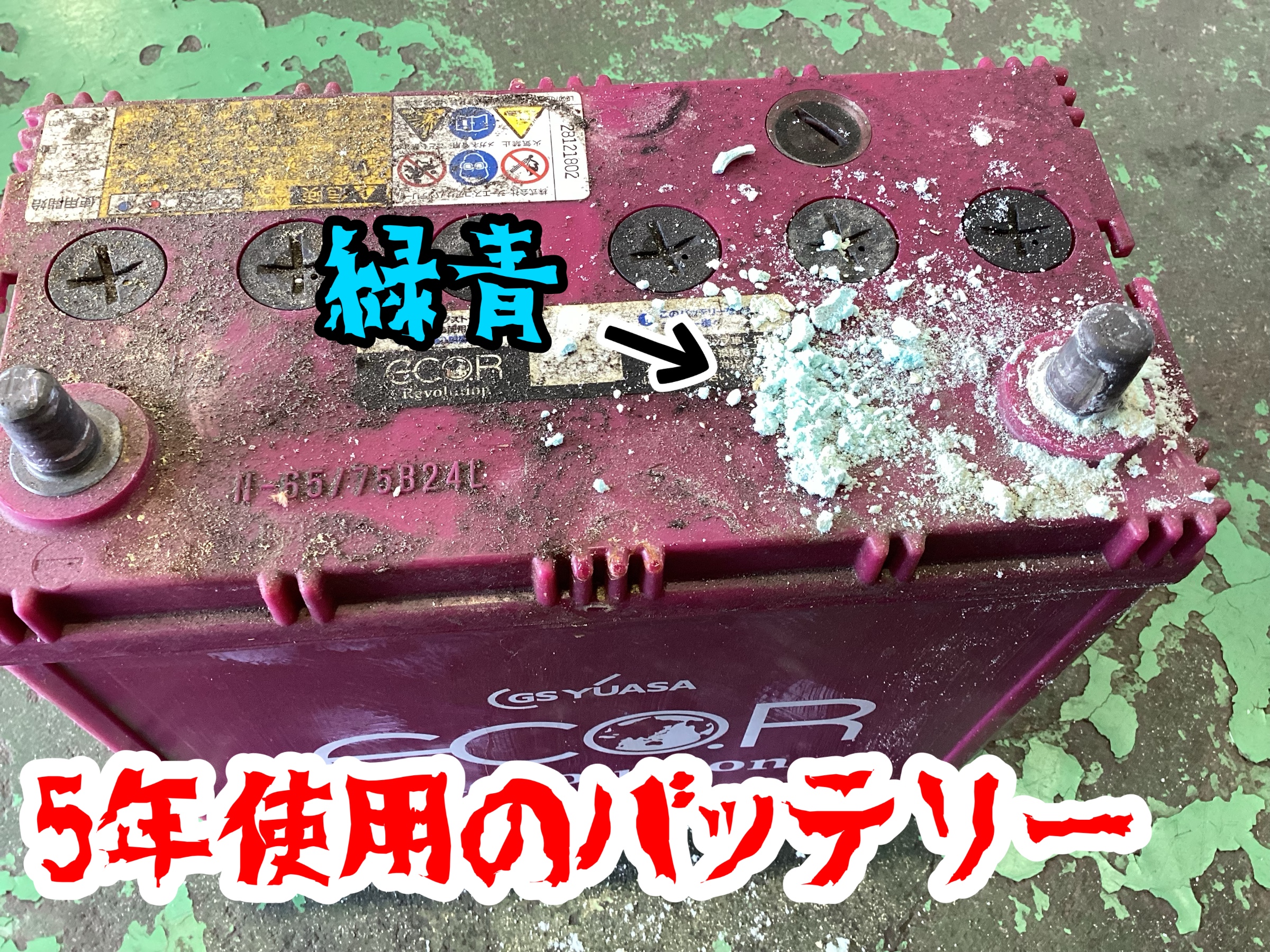スタッフ撮影。文字等はｱﾌﾟﾘ使用。