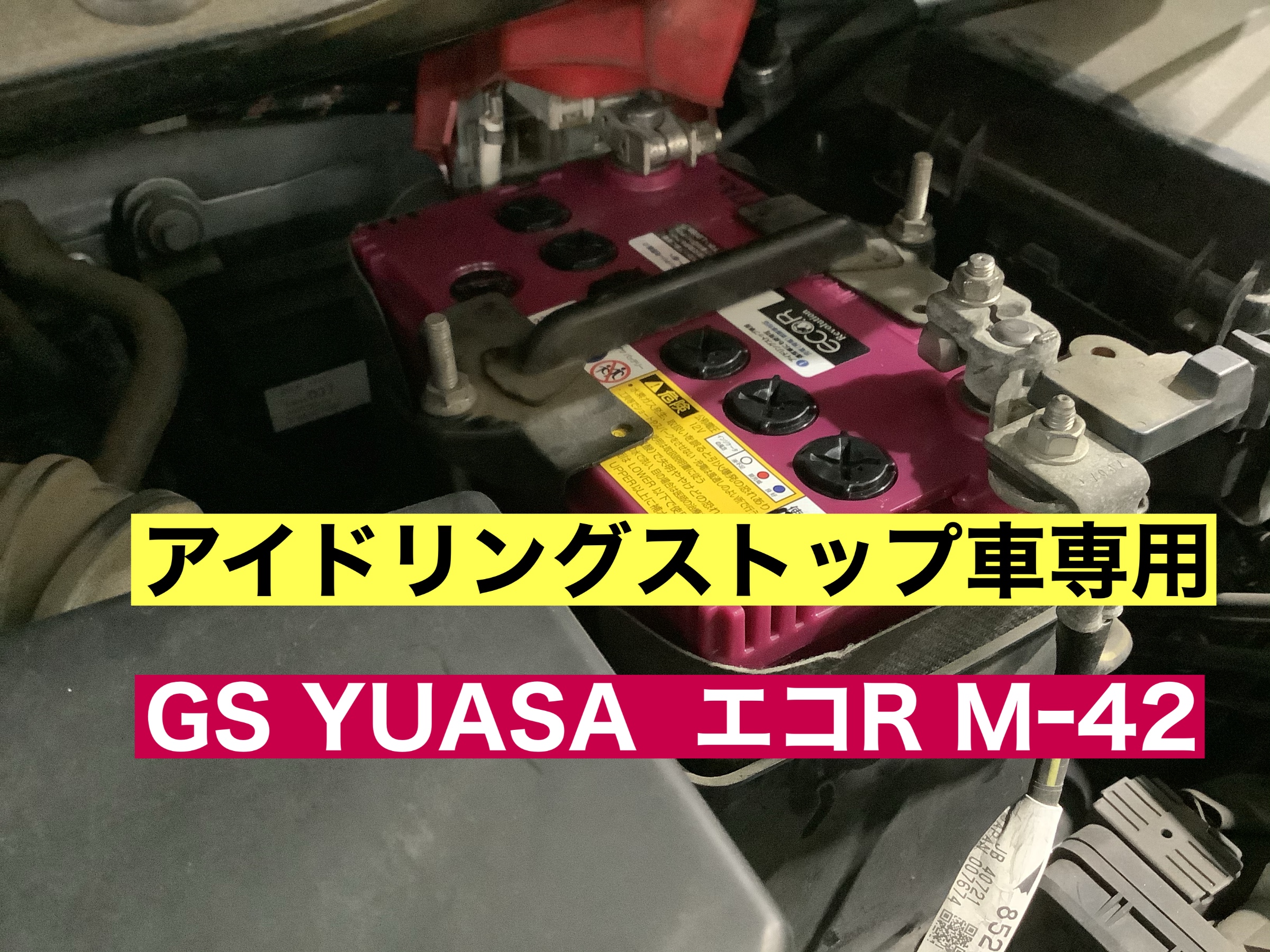 スタッフが撮影