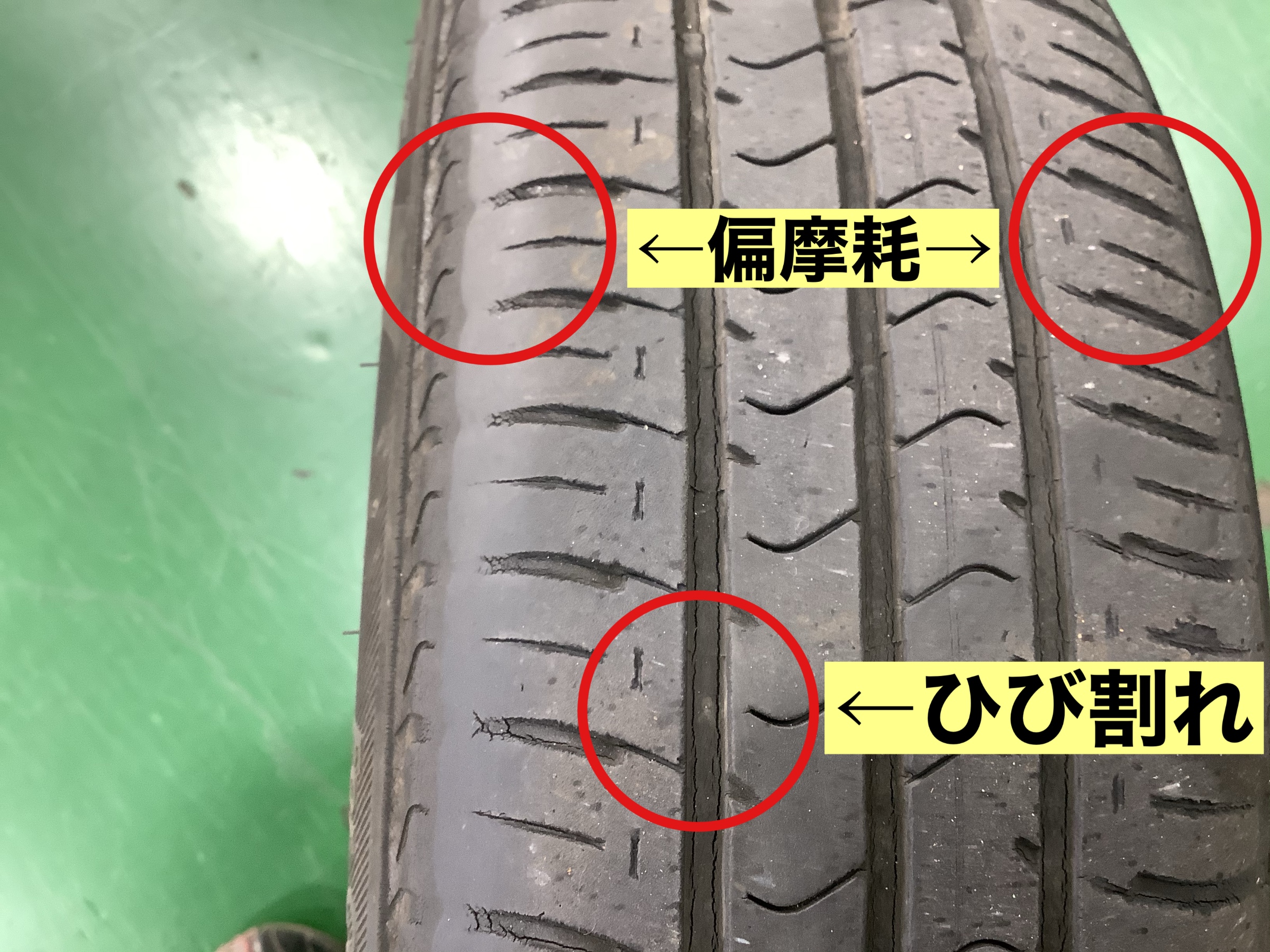 スタッフが撮影