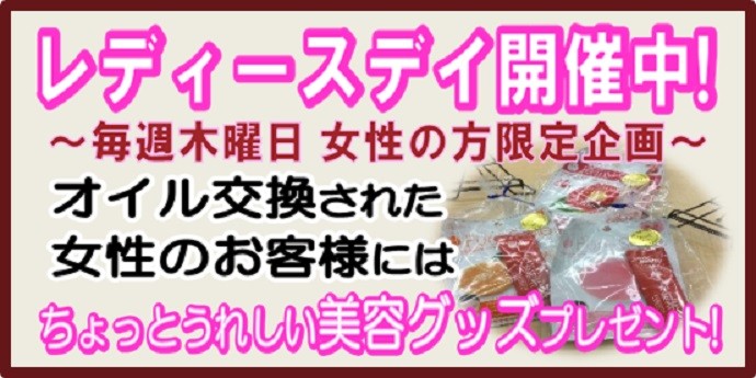 写真は当店スタッフが撮影加工したものです