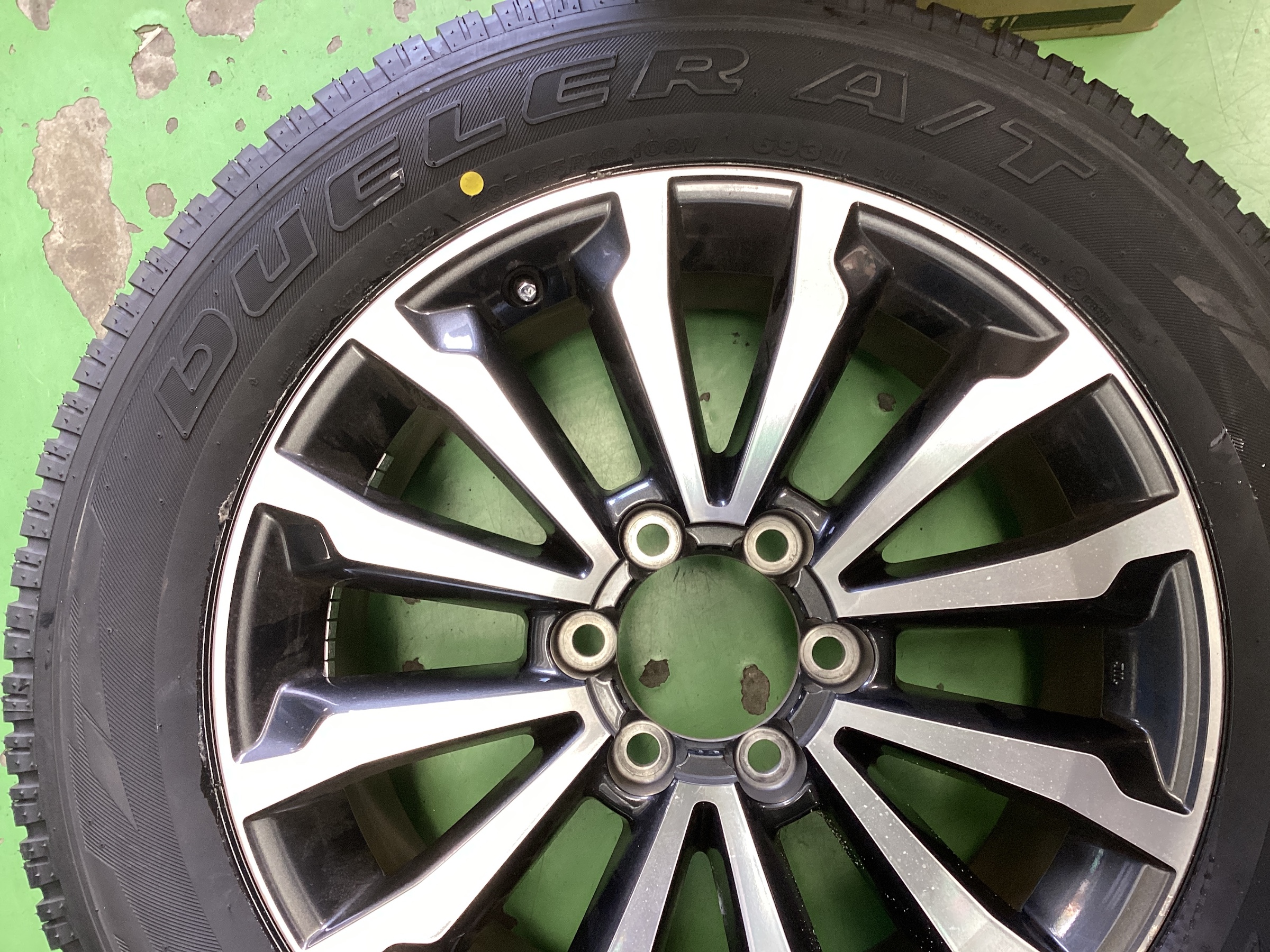 スタッフ撮影分