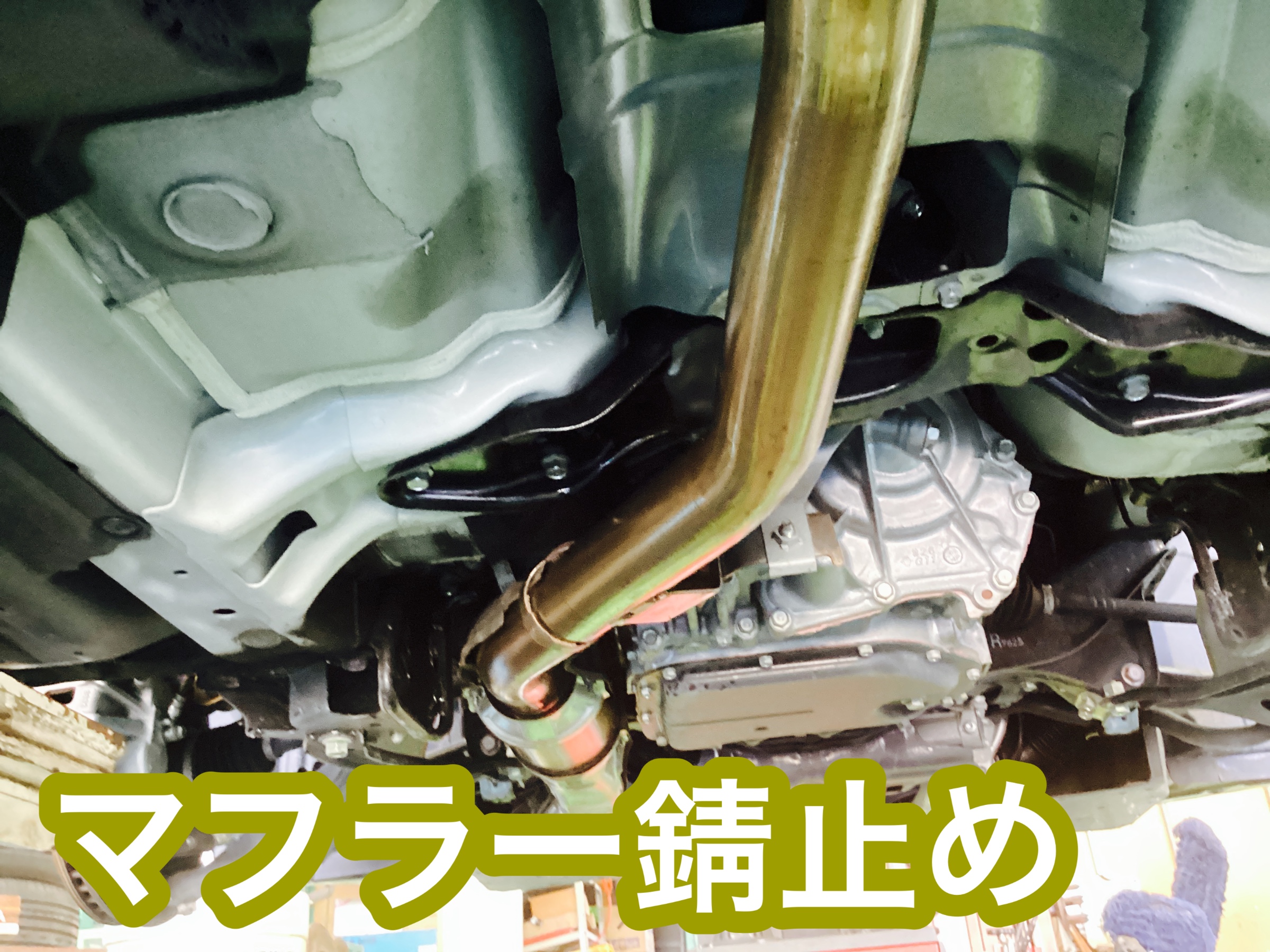 スタッフ撮影分