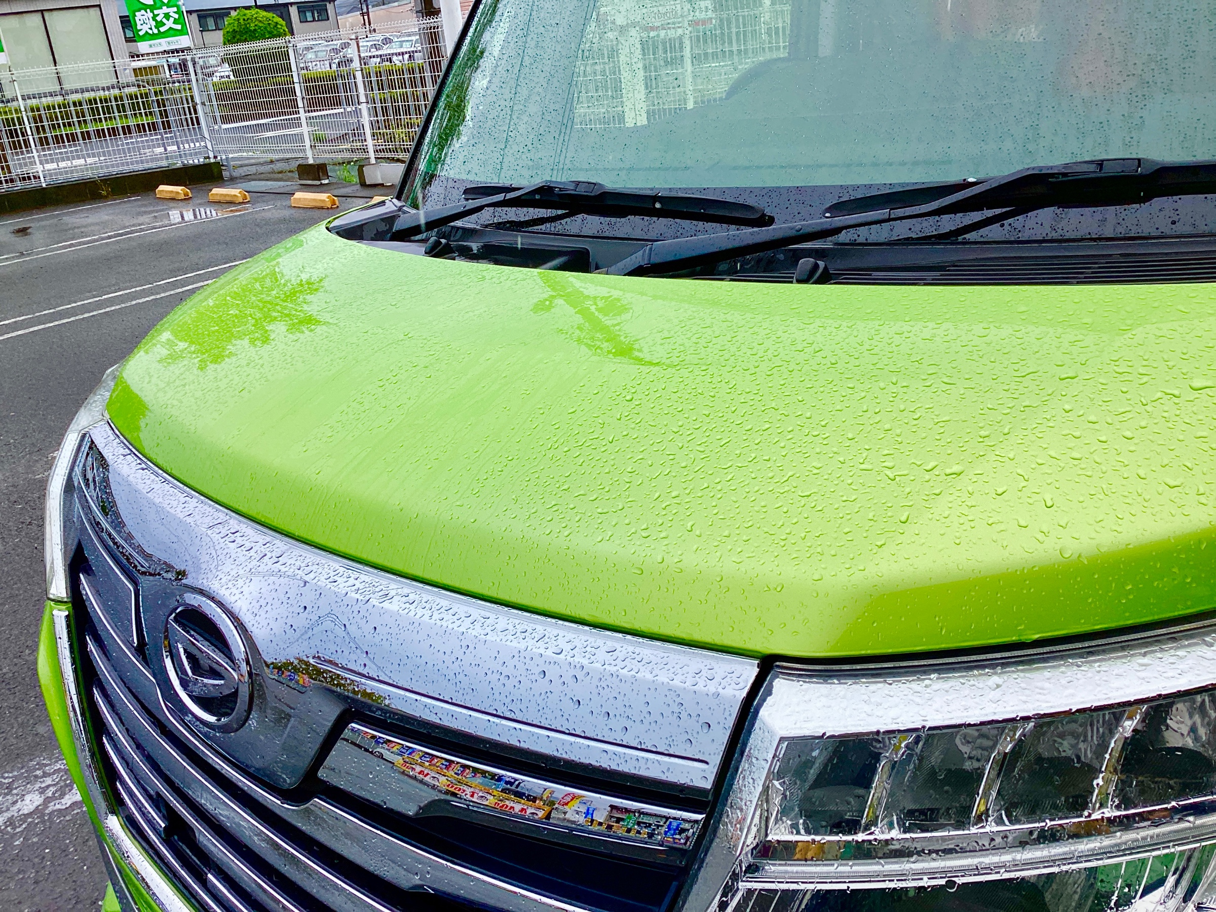 スタッフ撮影分