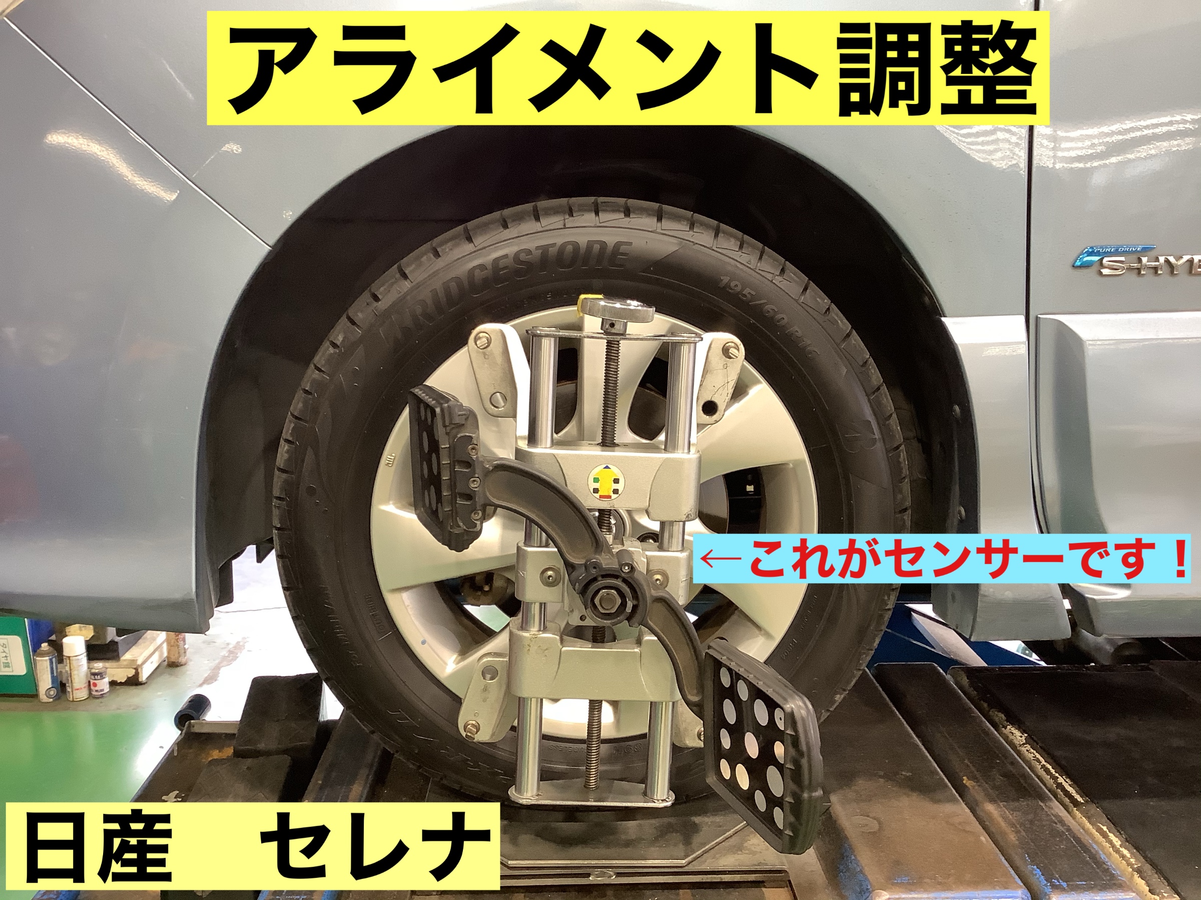 スタッフが撮影