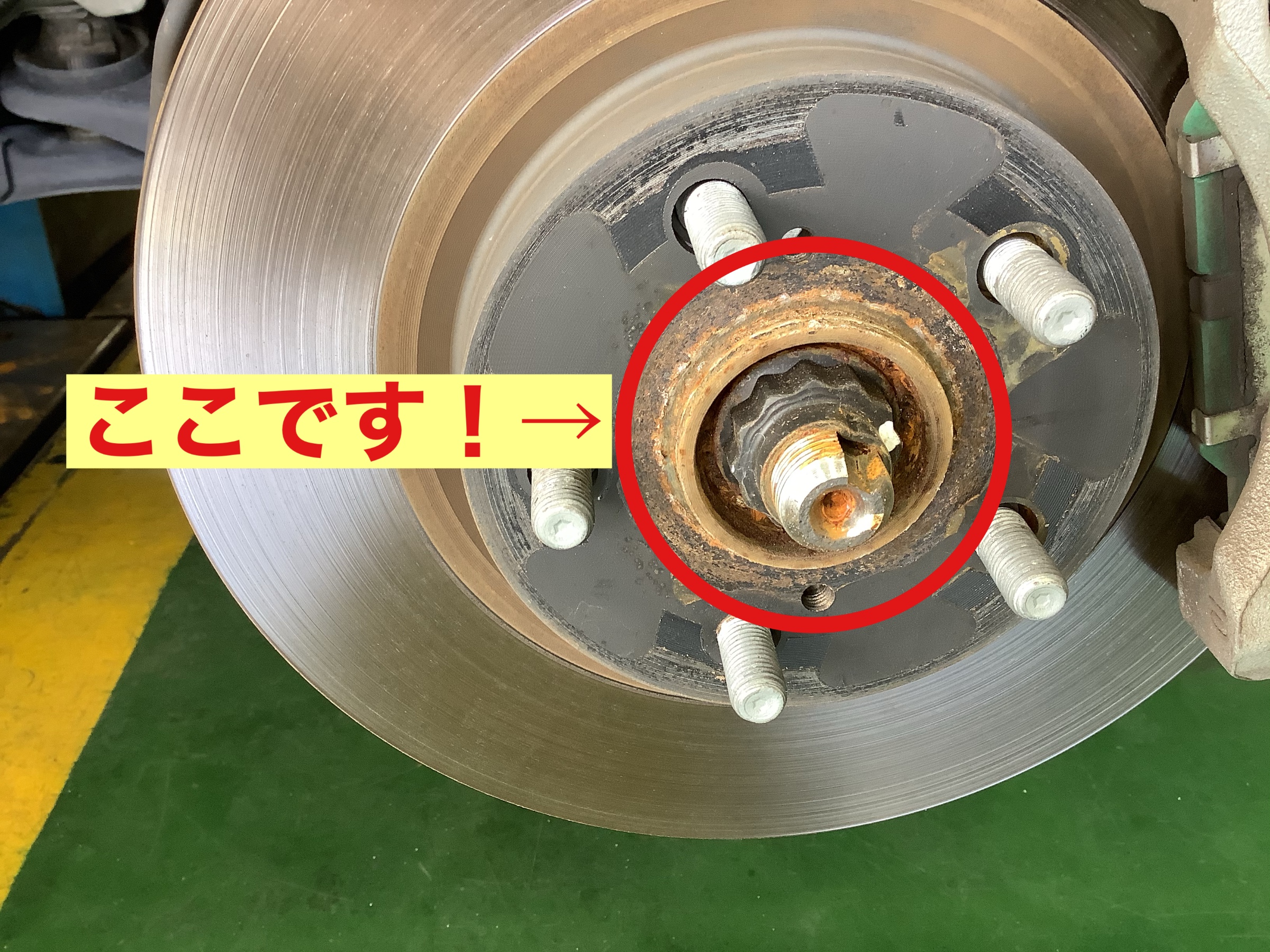 スタッフが撮影