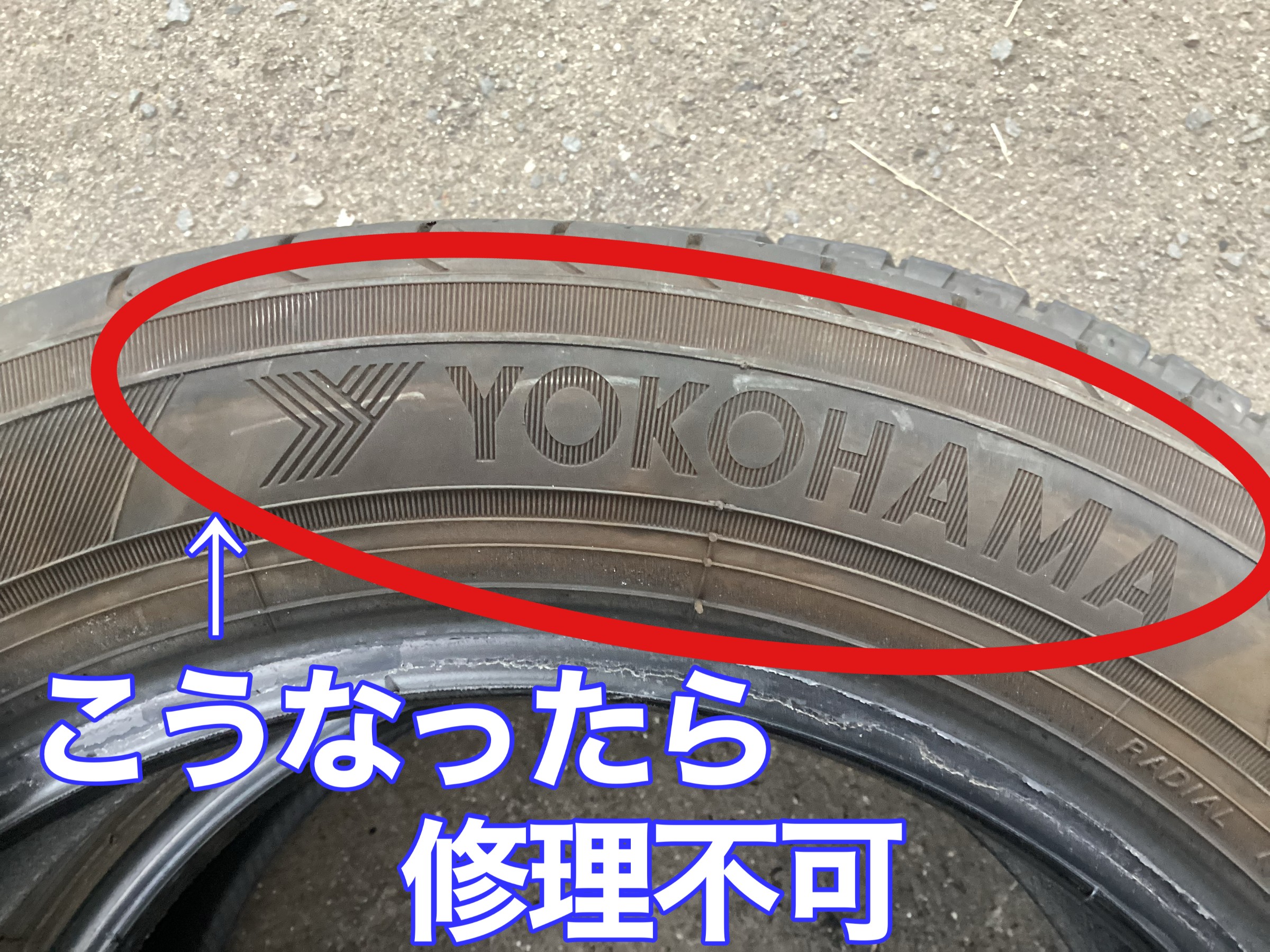 最大80％オフ パンクしたまま走行すると… | 新 タイヤ館 | 店舗おススメ情報 自転車本体