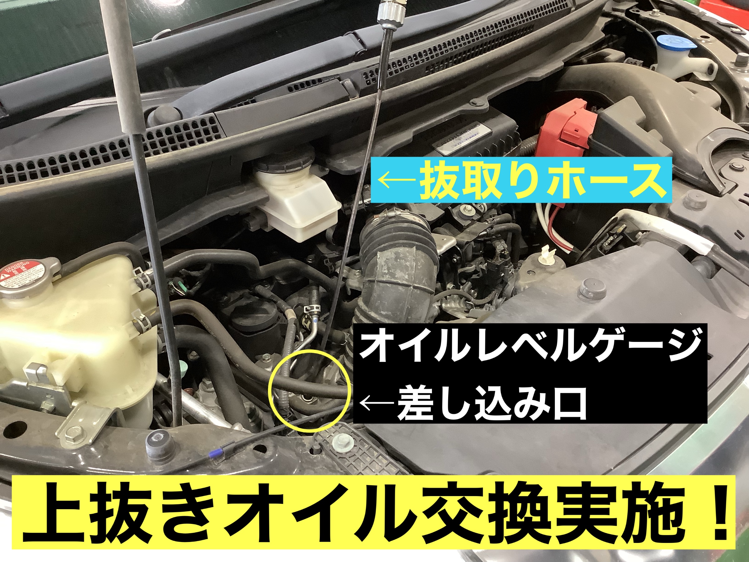 スタッフが撮影