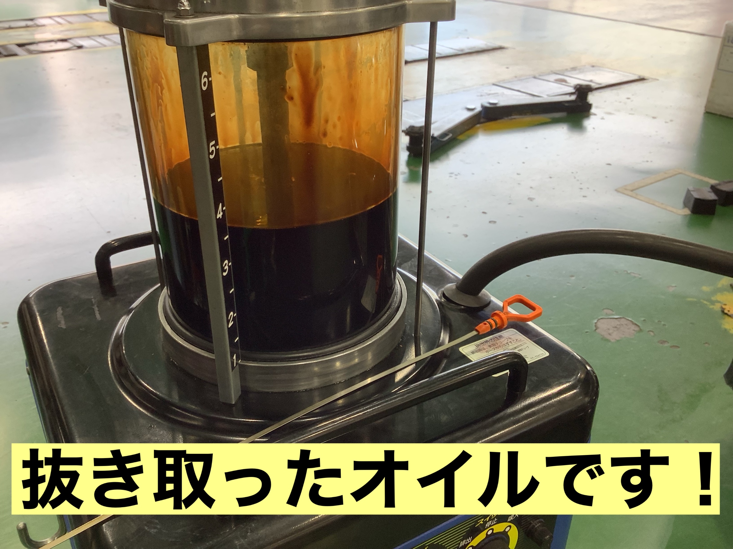 スタッフが撮影