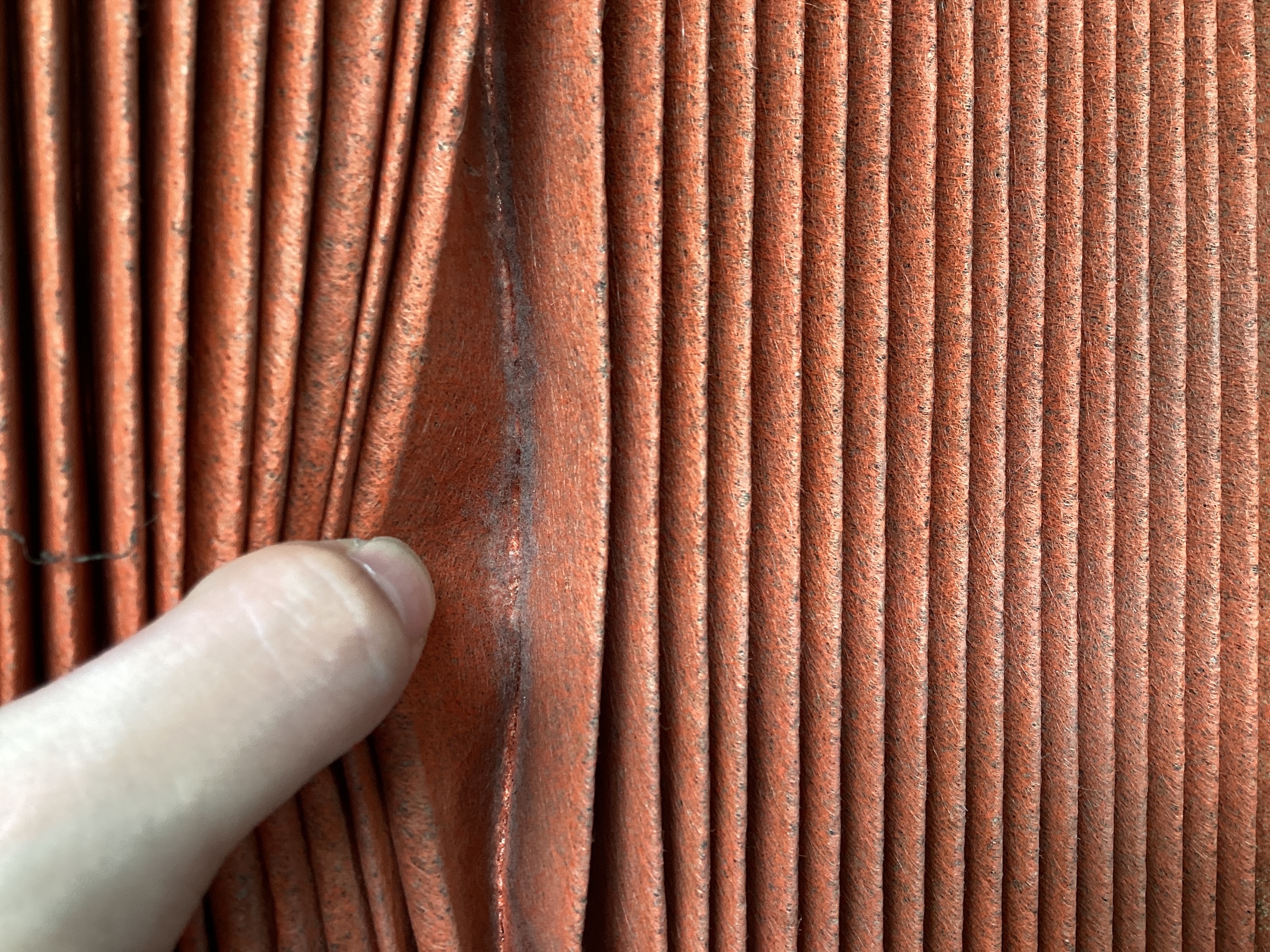 スタッフ撮影分