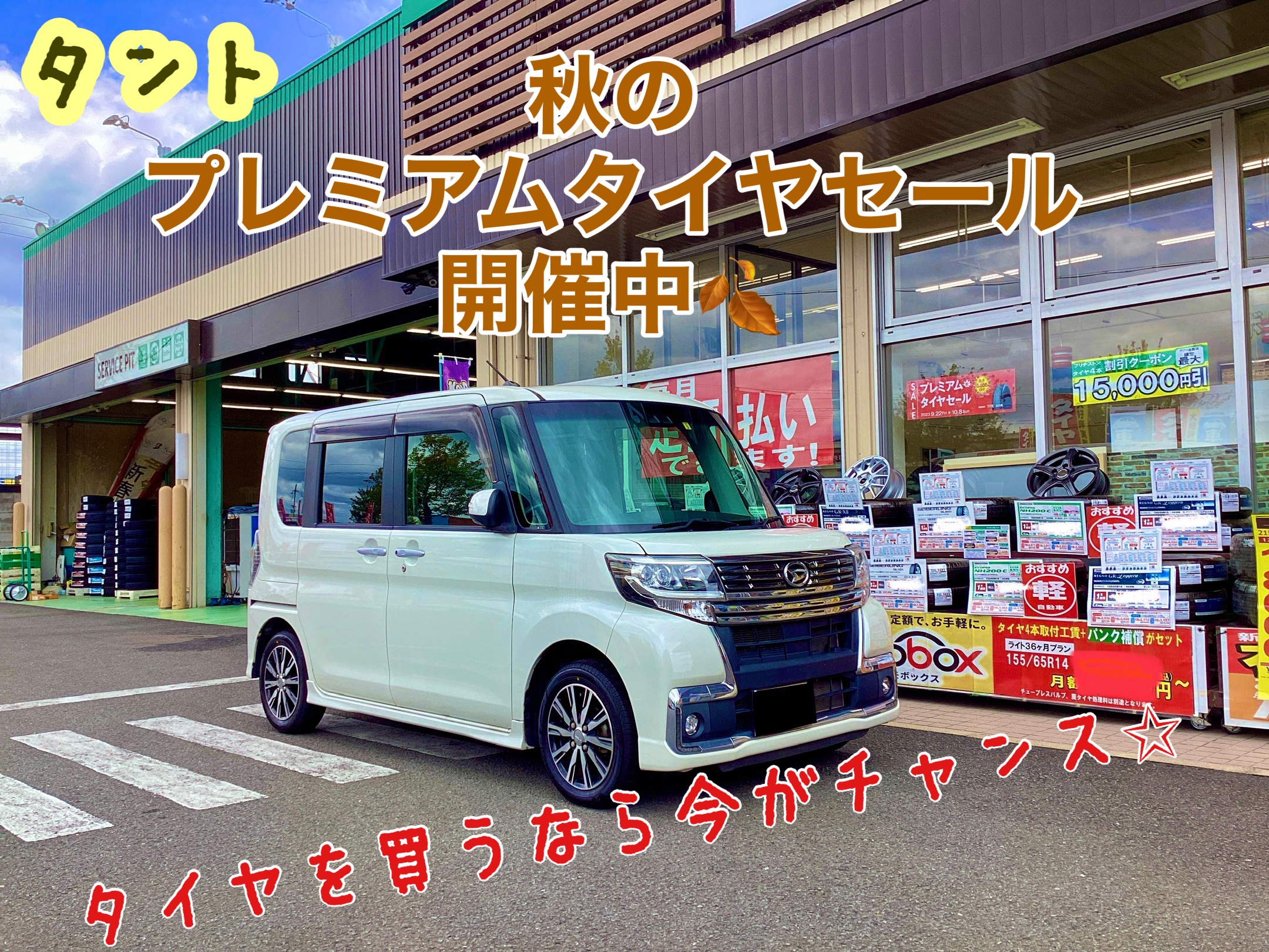 スタッフ撮影分