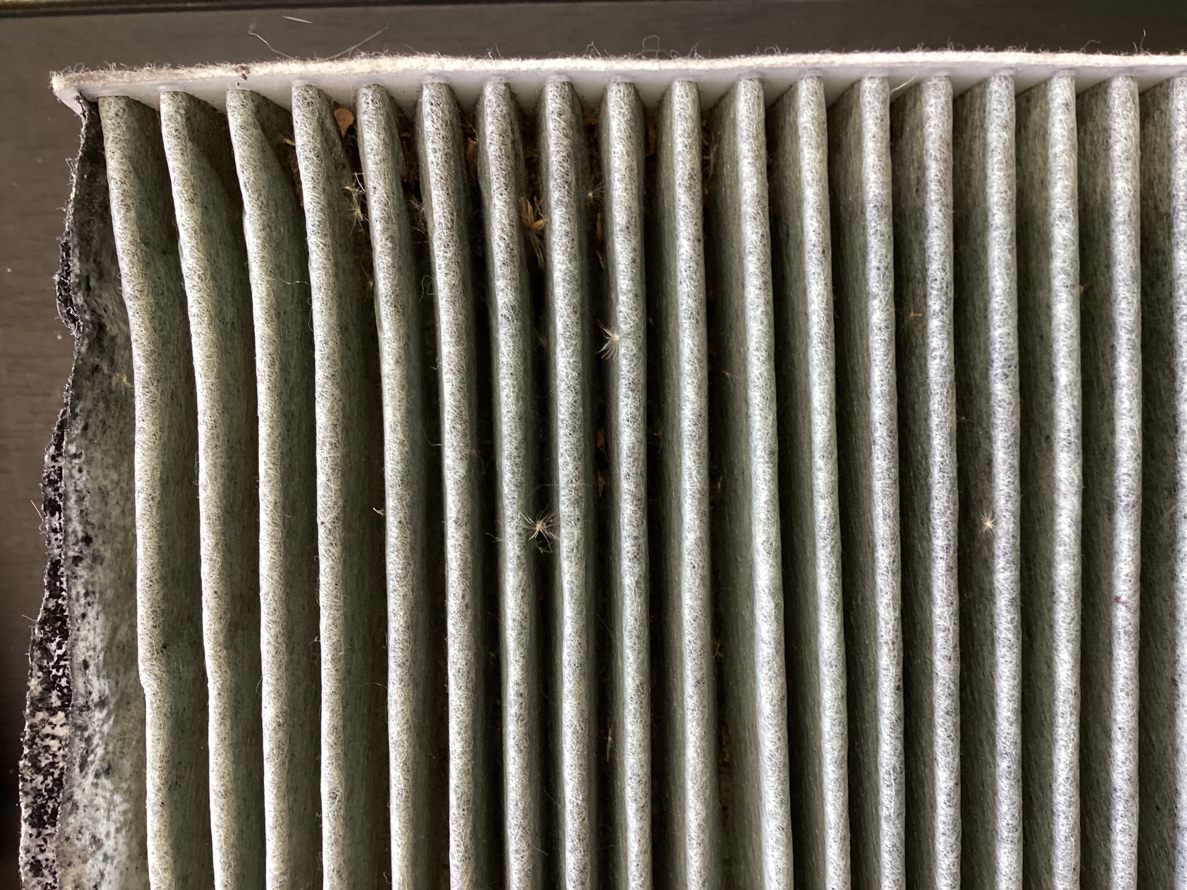 スタッフ撮影分