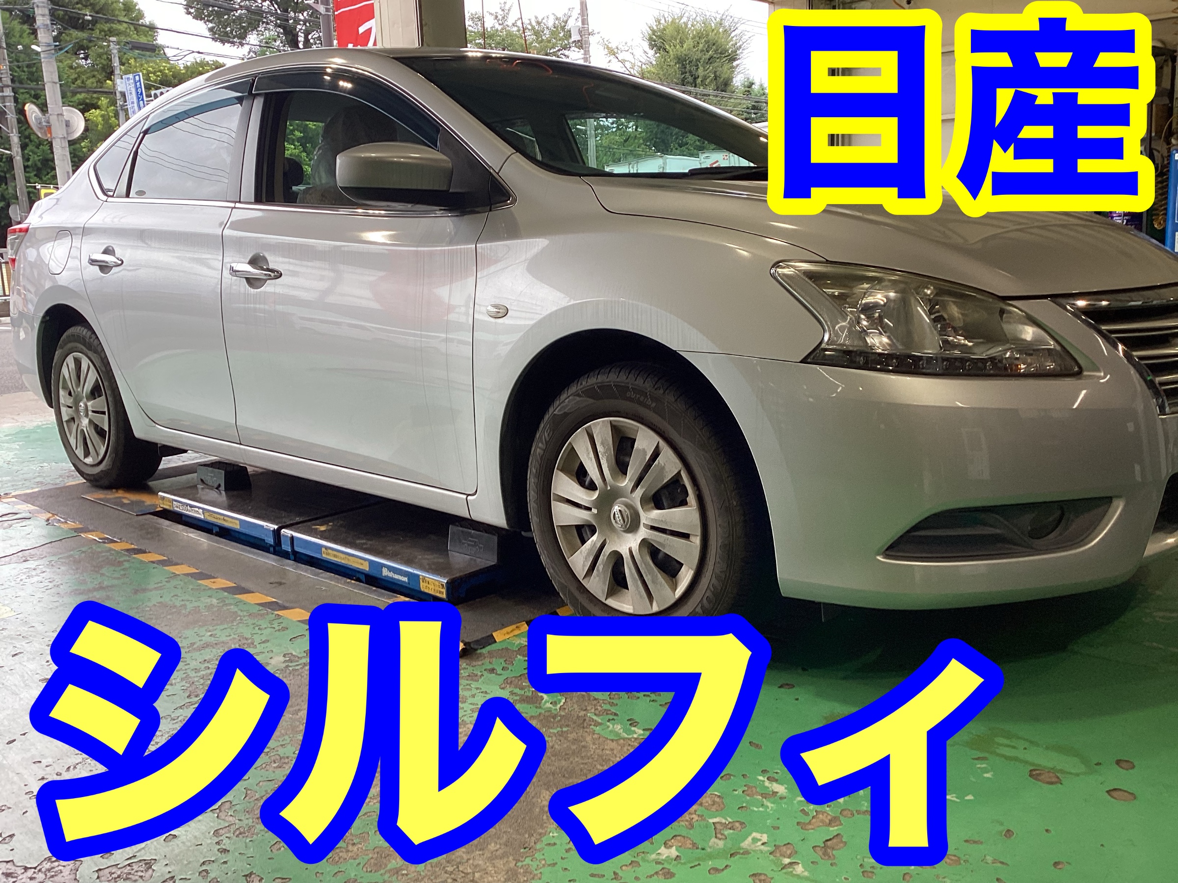 スタッフ撮影画像