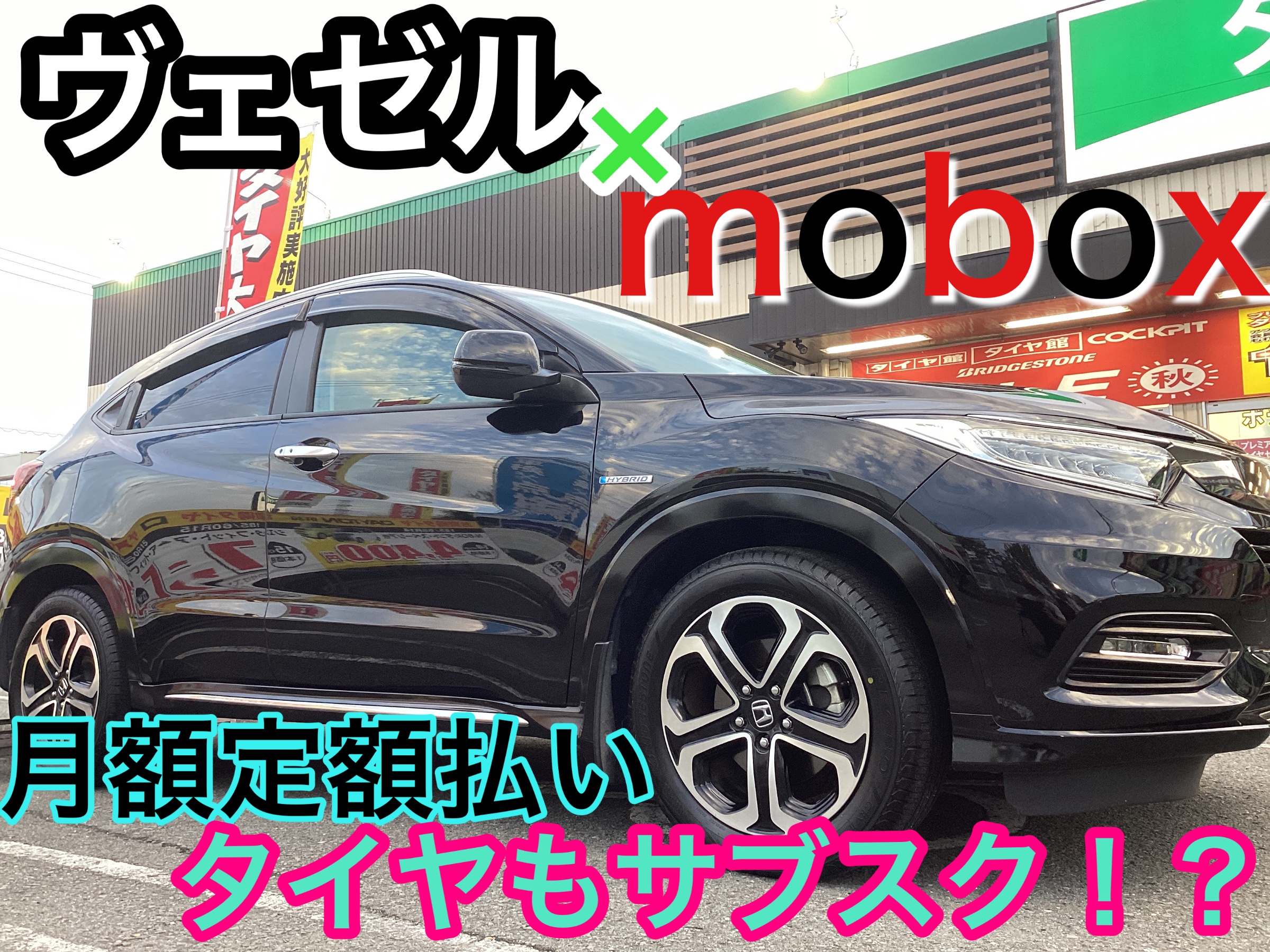 スタッフ撮影分