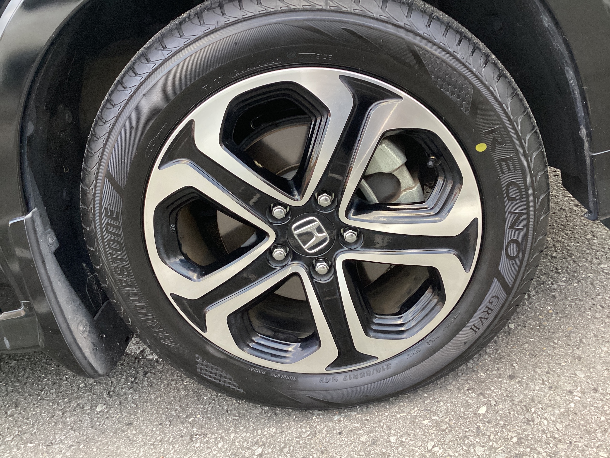 スタッフ撮影分