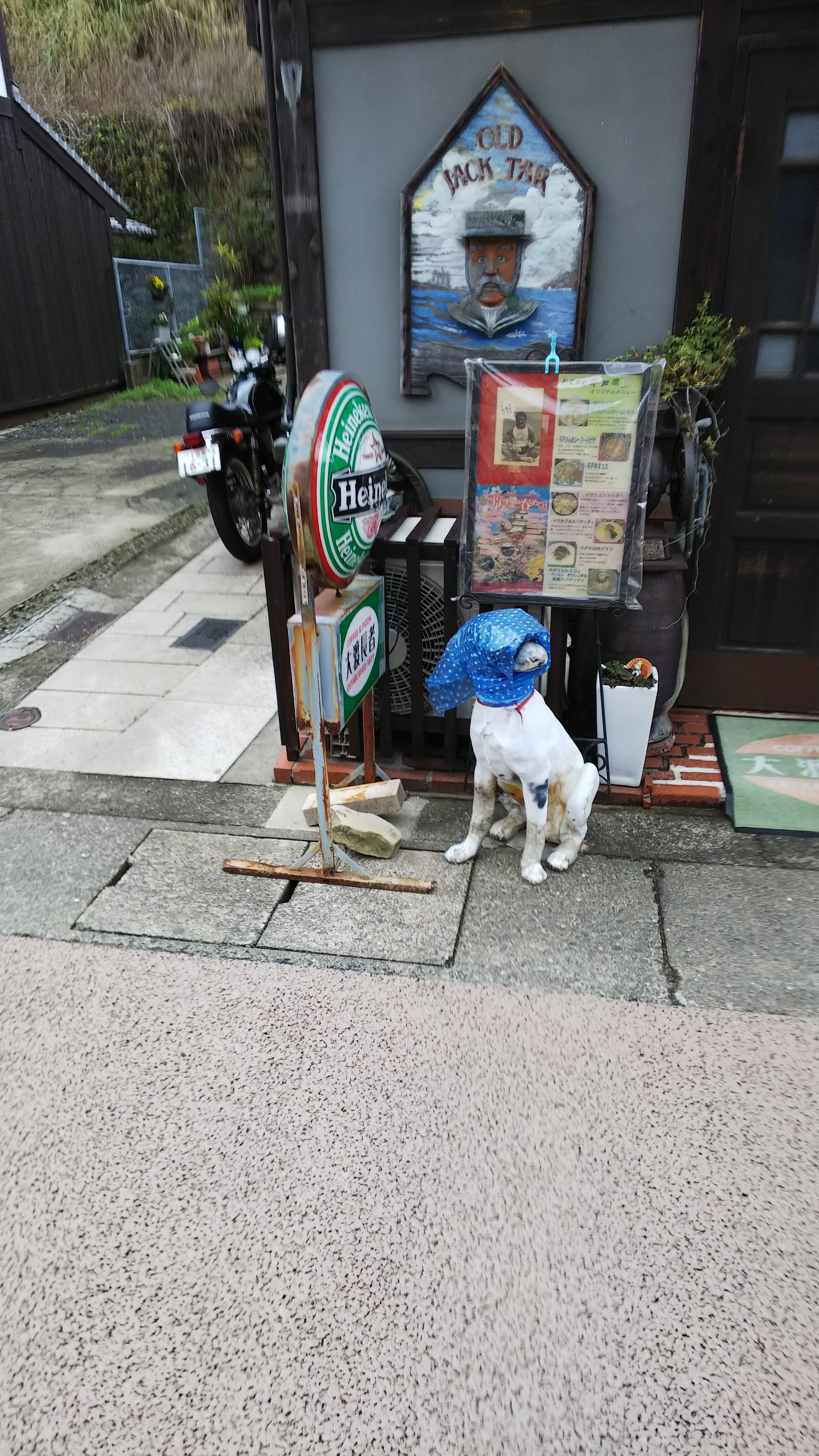 スタッフ撮影です。