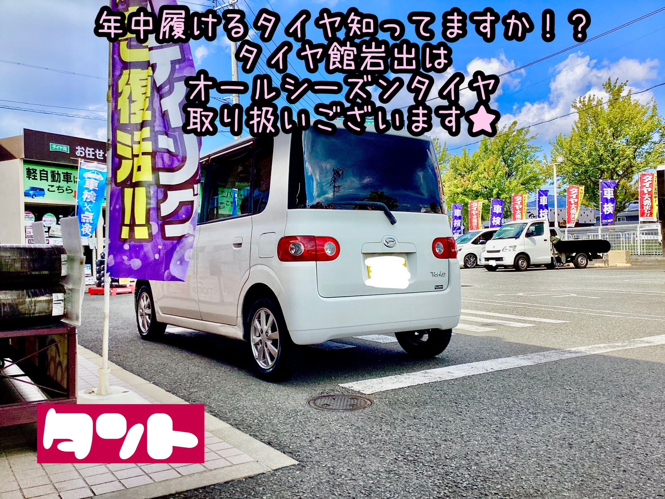 スタッフ撮影分