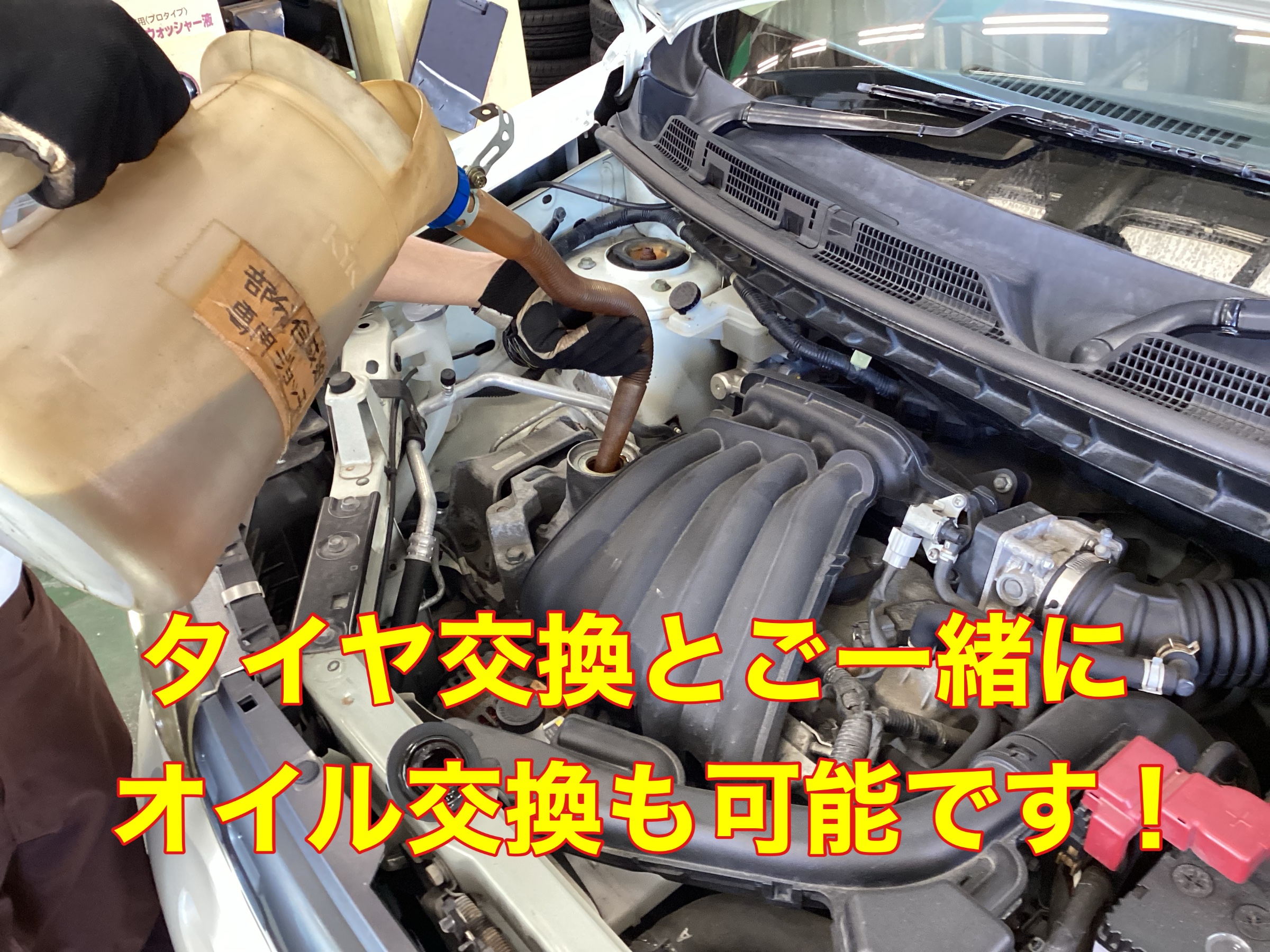 スタッフ撮影