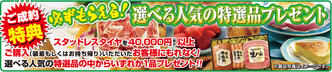 作成チラシより公取、Web掲載確認済みです