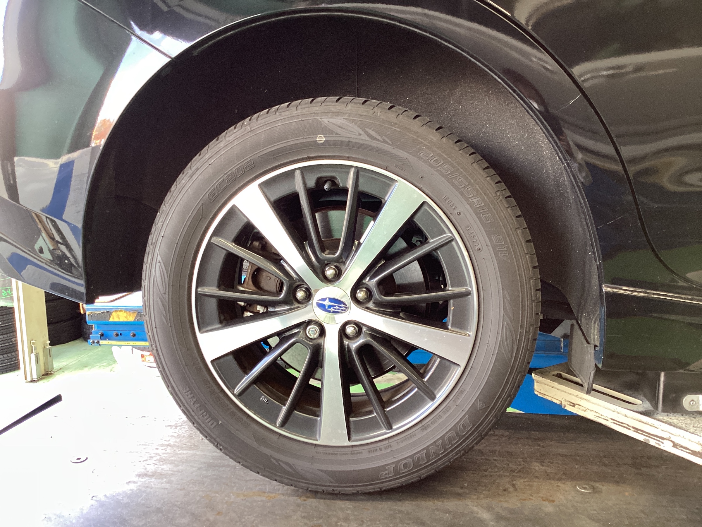 スタッフ撮影分