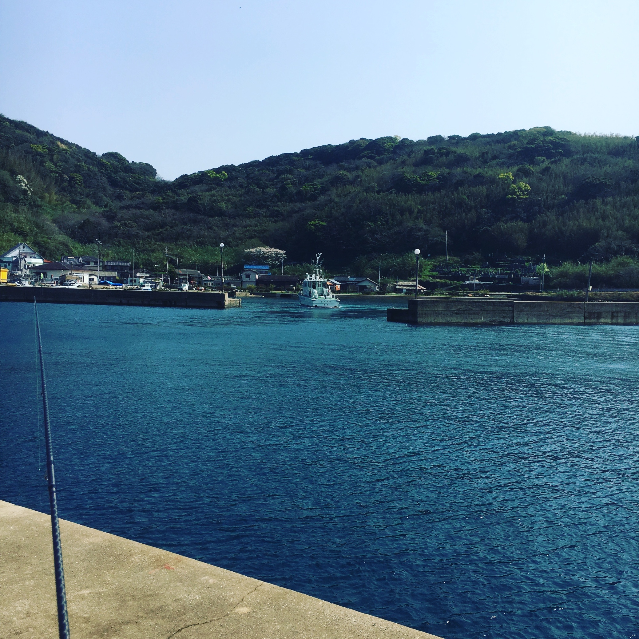スタッフ撮影分です