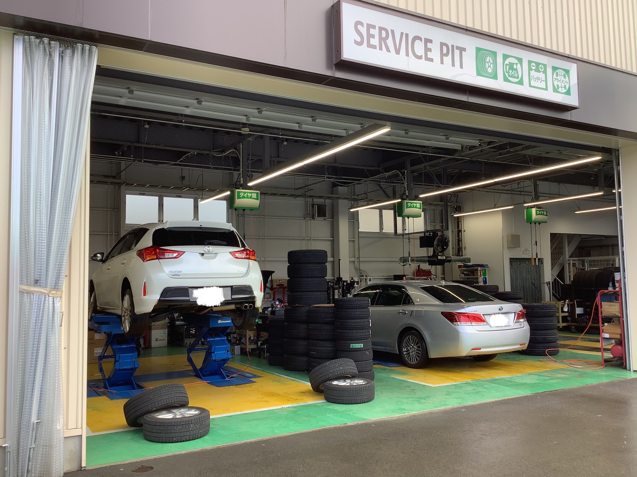 スタッフ撮影です。