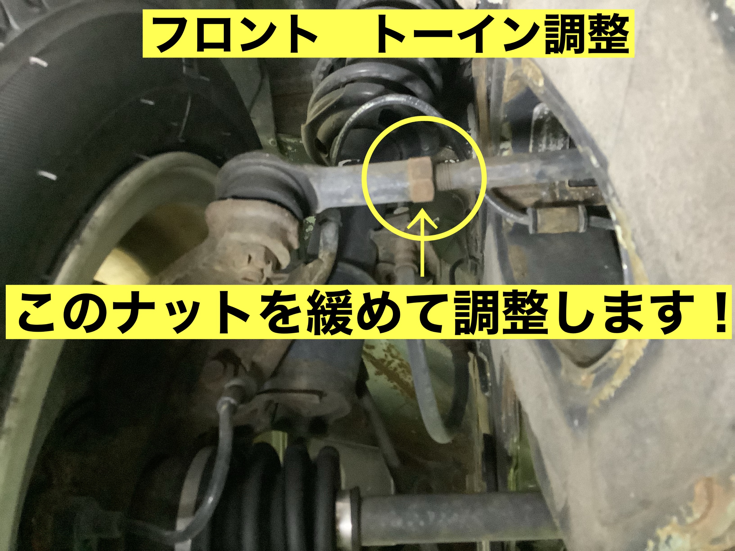 スタッフが撮影