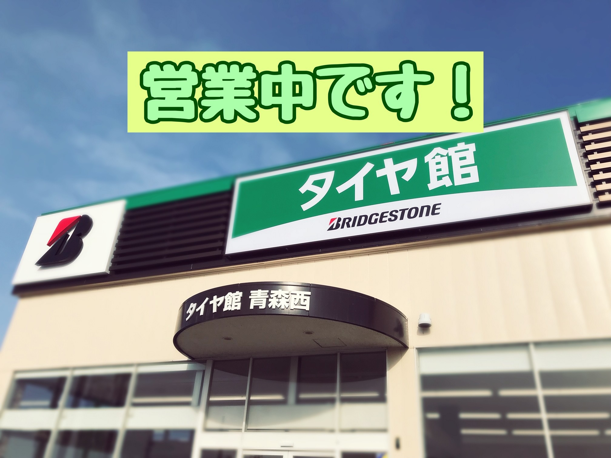 スタッフが撮影加工した画像