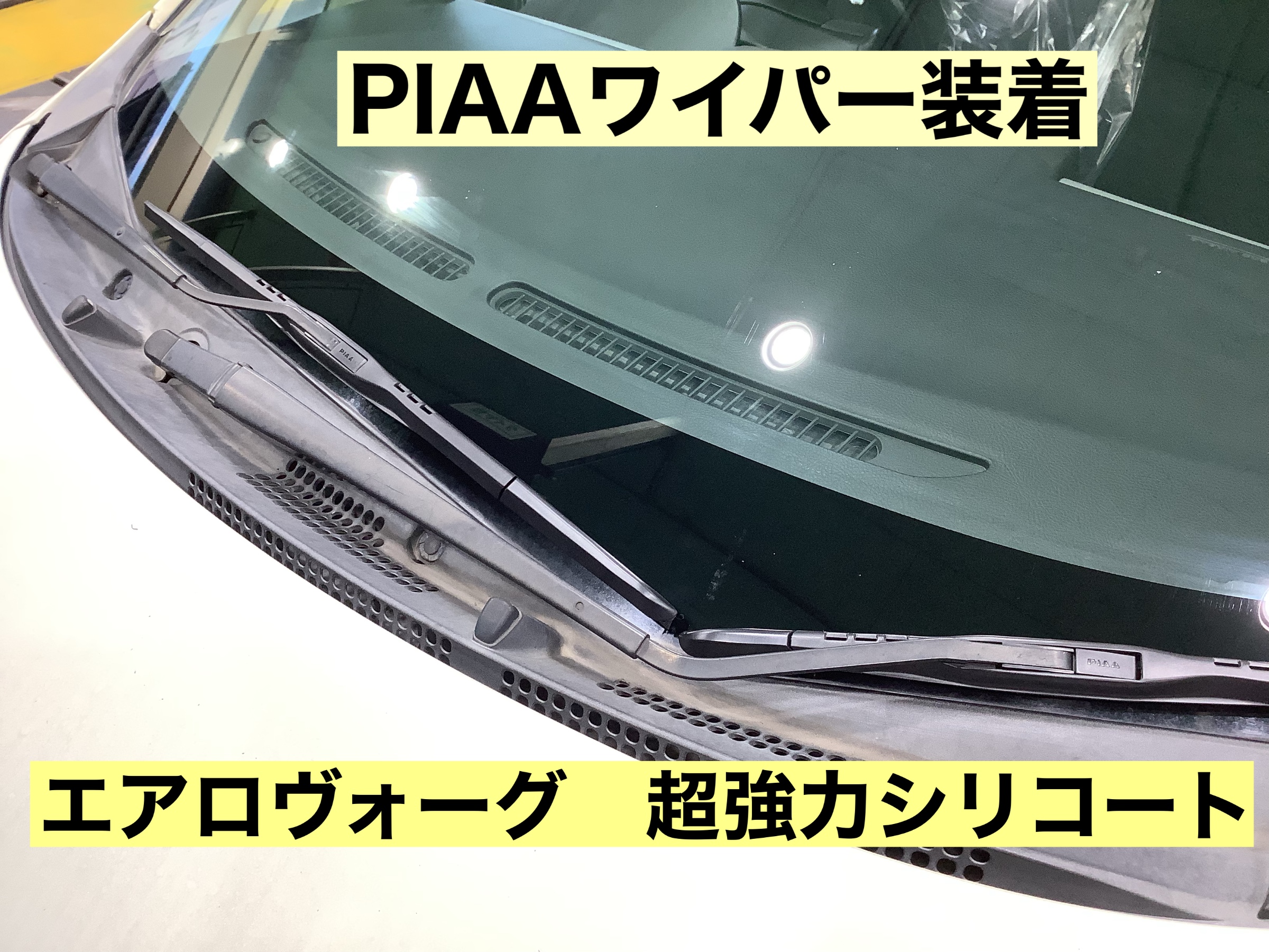 スタッフが撮影