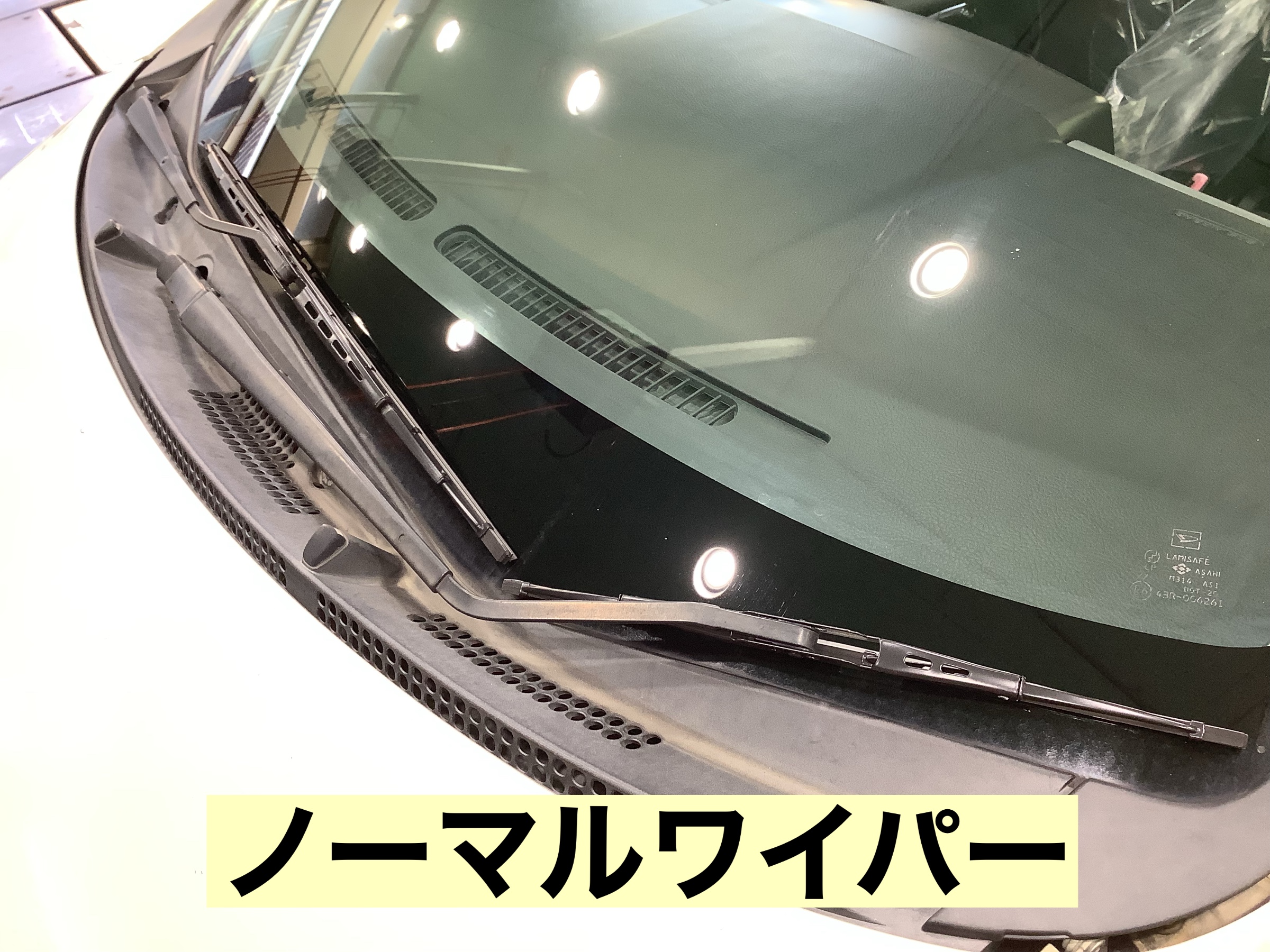 スタッフが撮影
