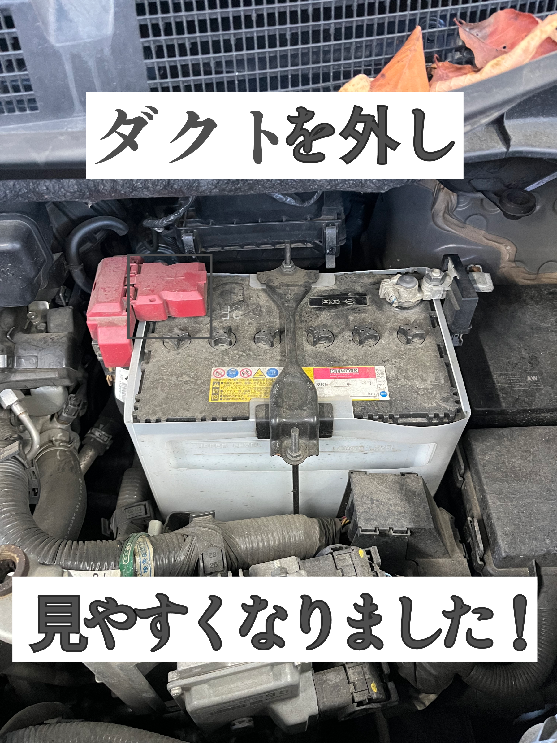 スタッフ撮影です。