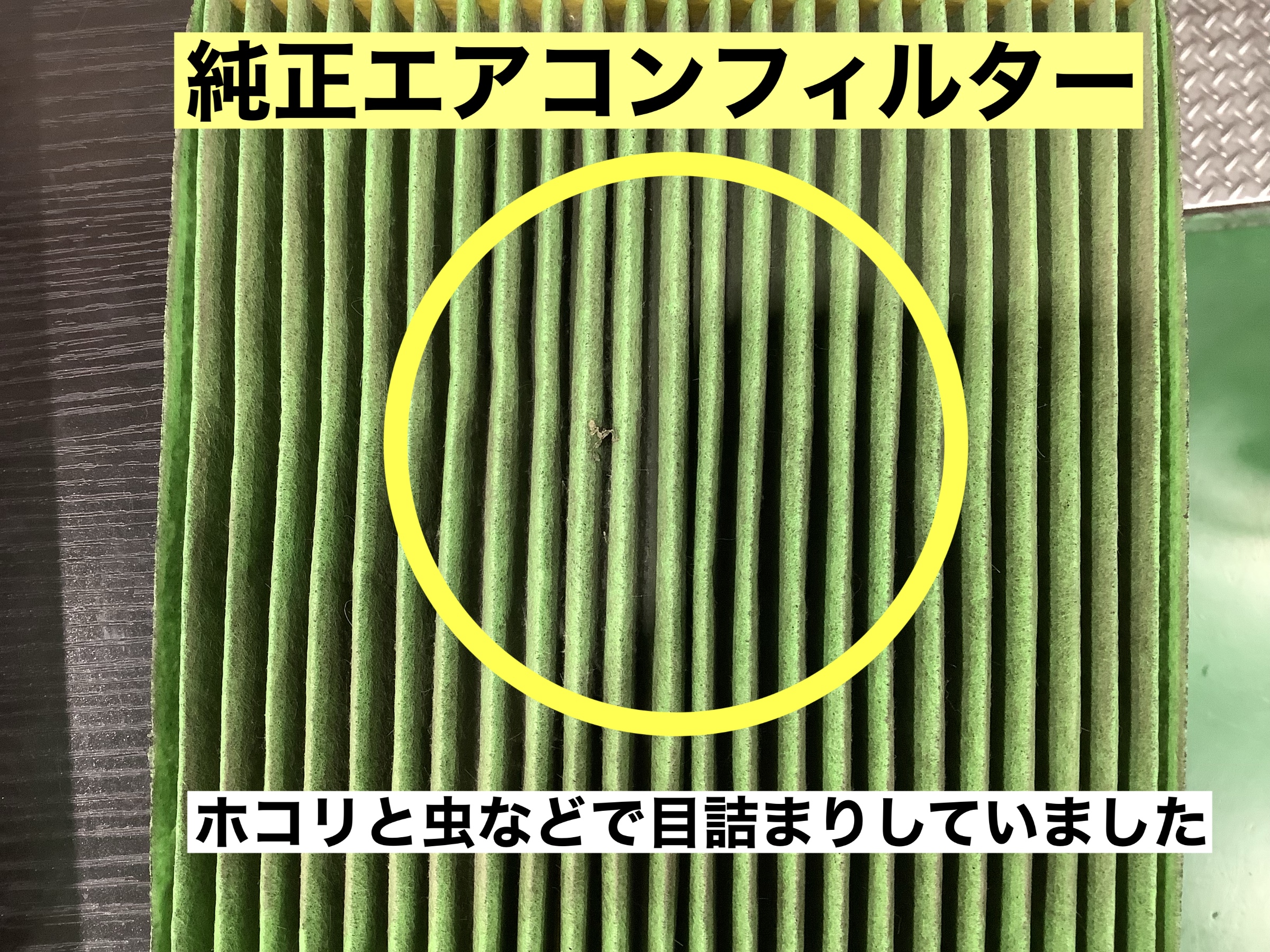 スタッフが撮影