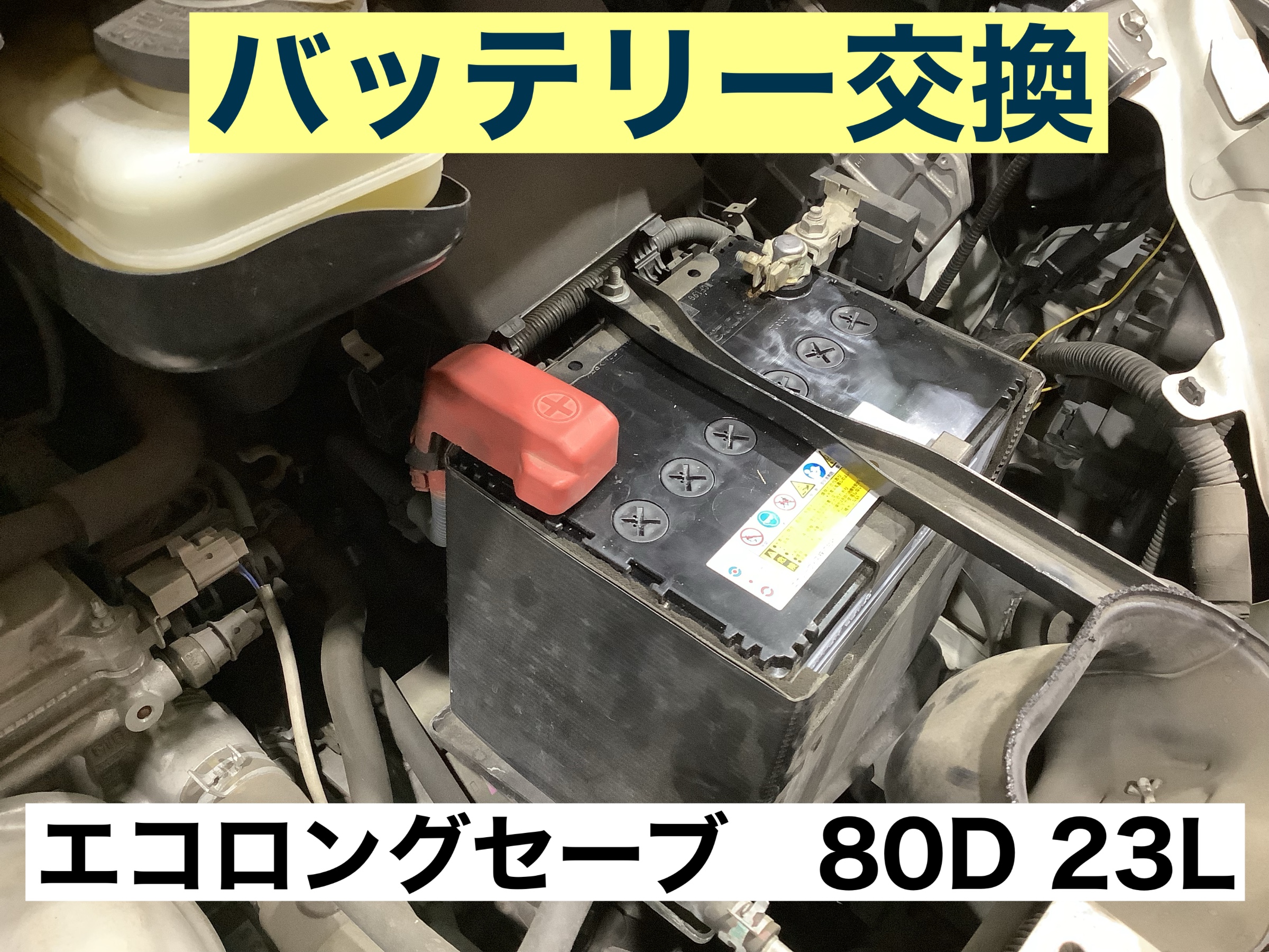 スタッフが撮影