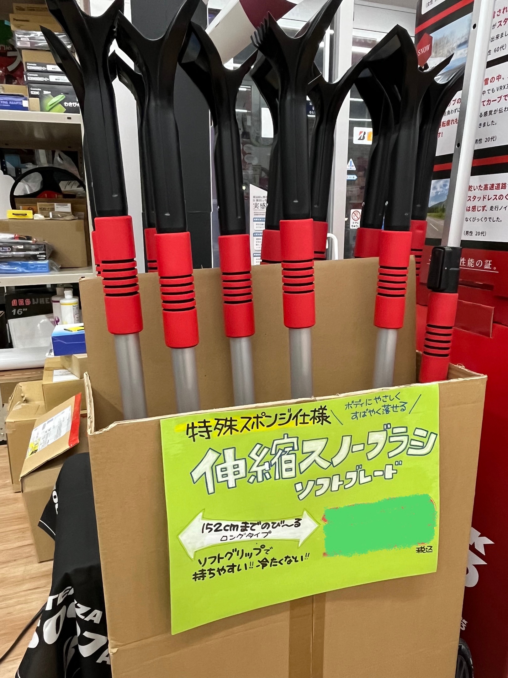 スタッフ撮影です。