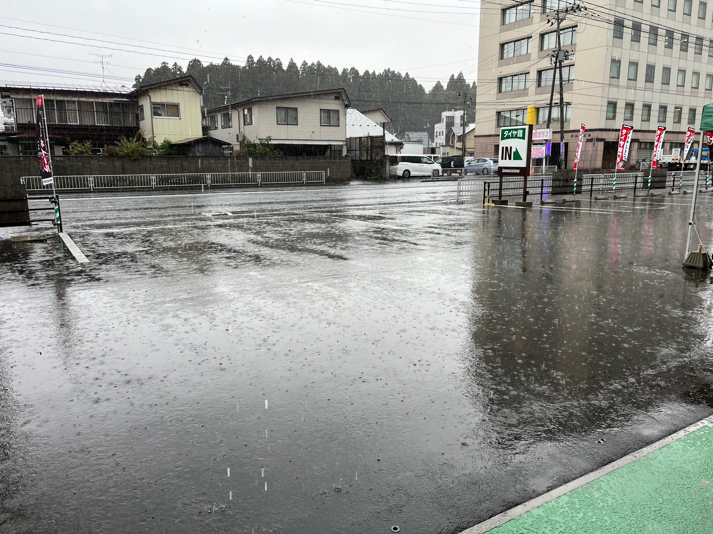 スタッフ撮影です。