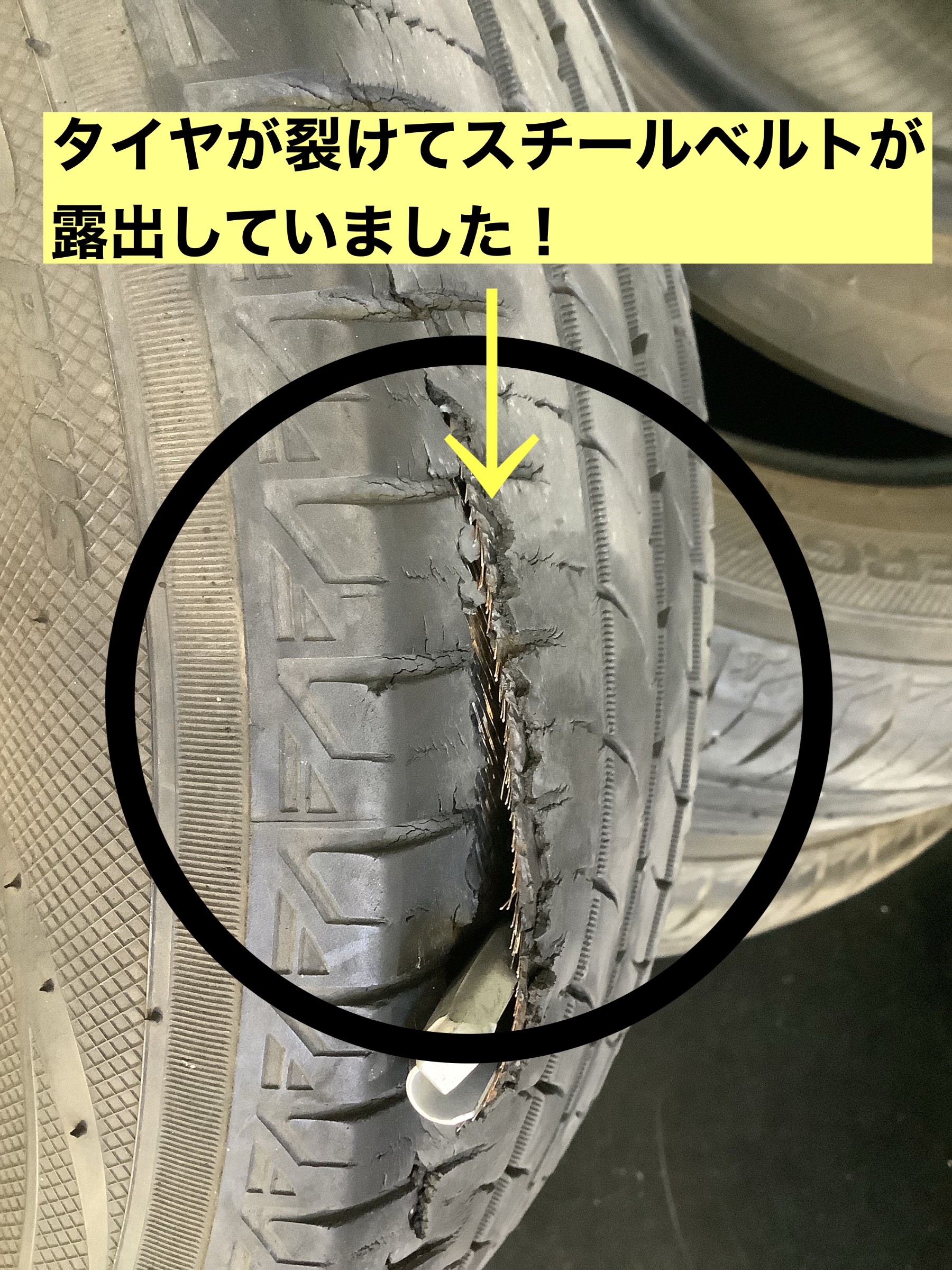 スタッフが撮影
