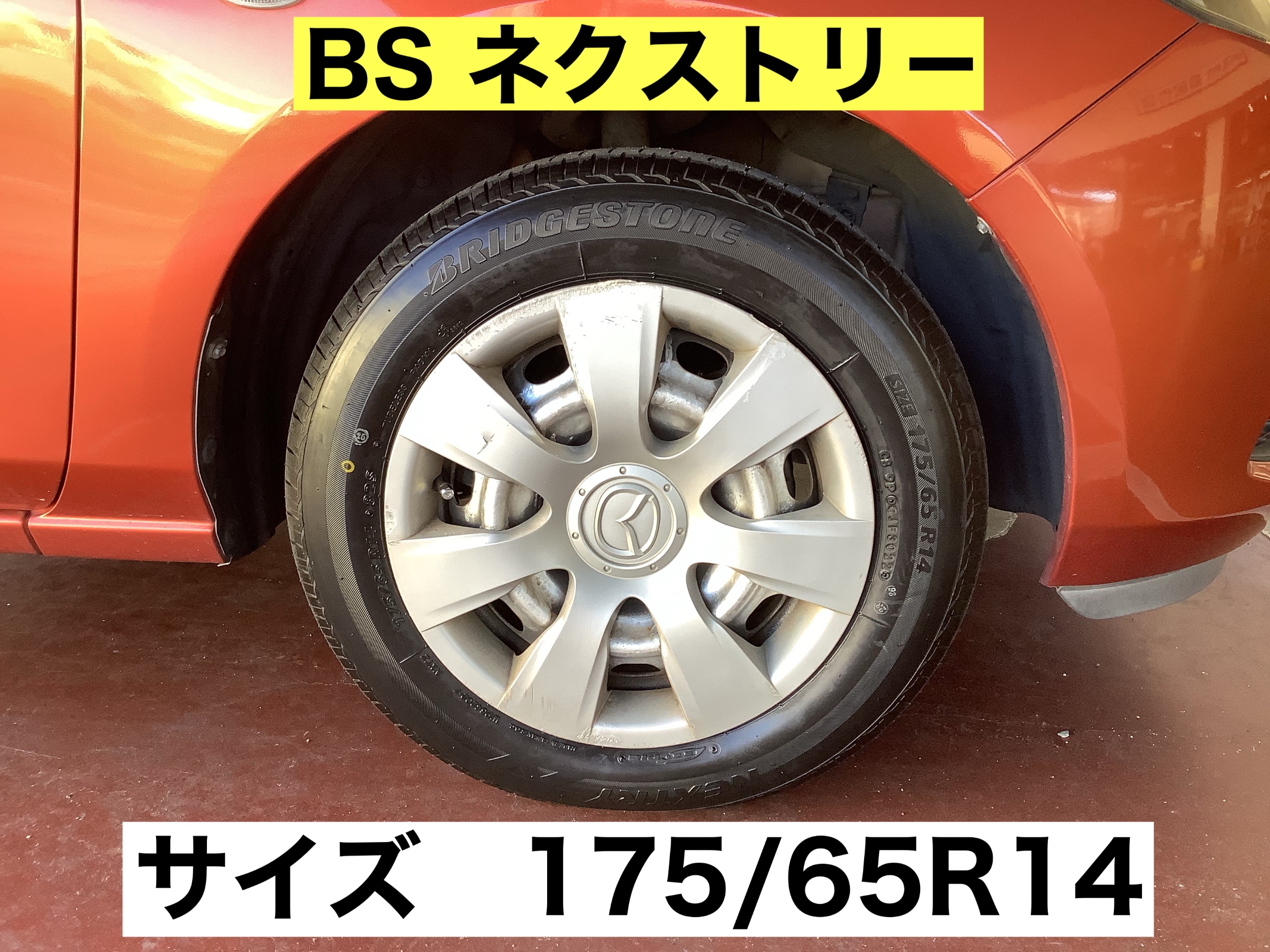 スタッフが撮影