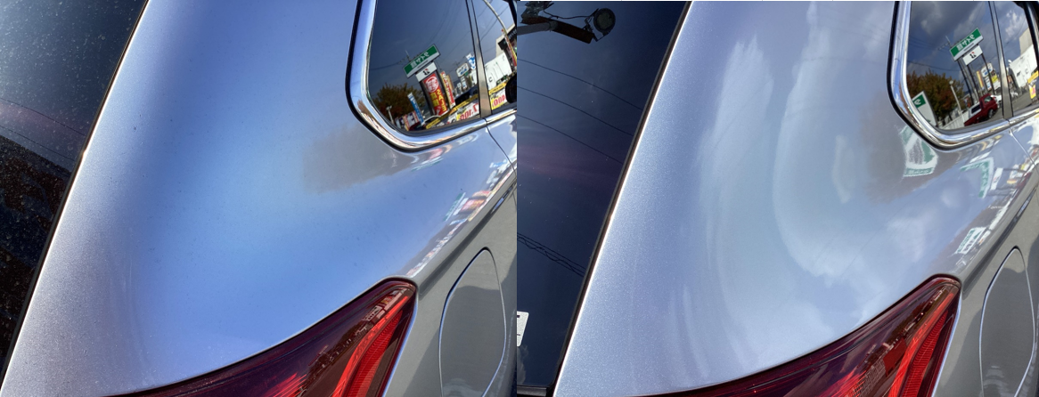 スタッフ撮影分