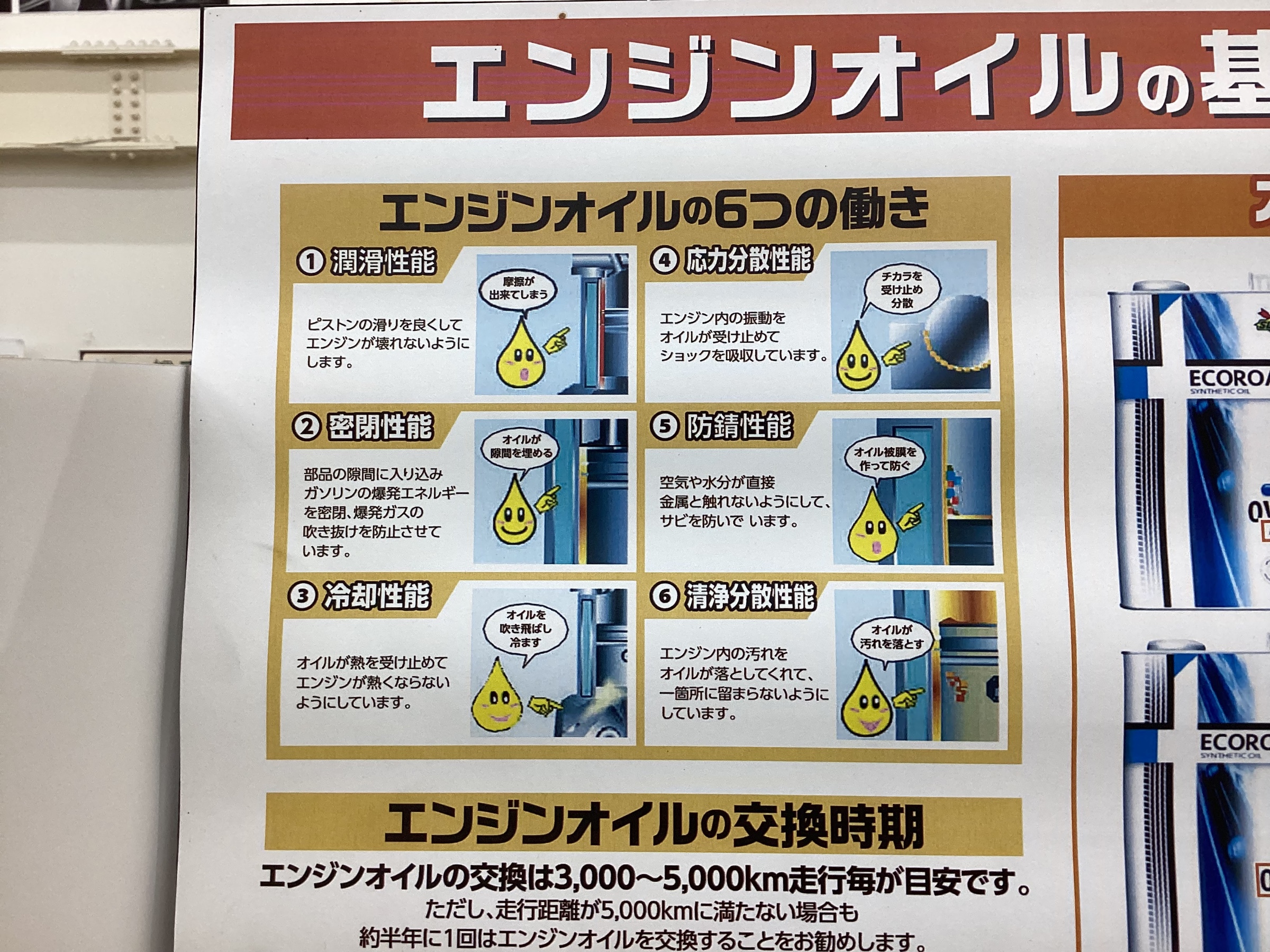 スタッフ撮影です。