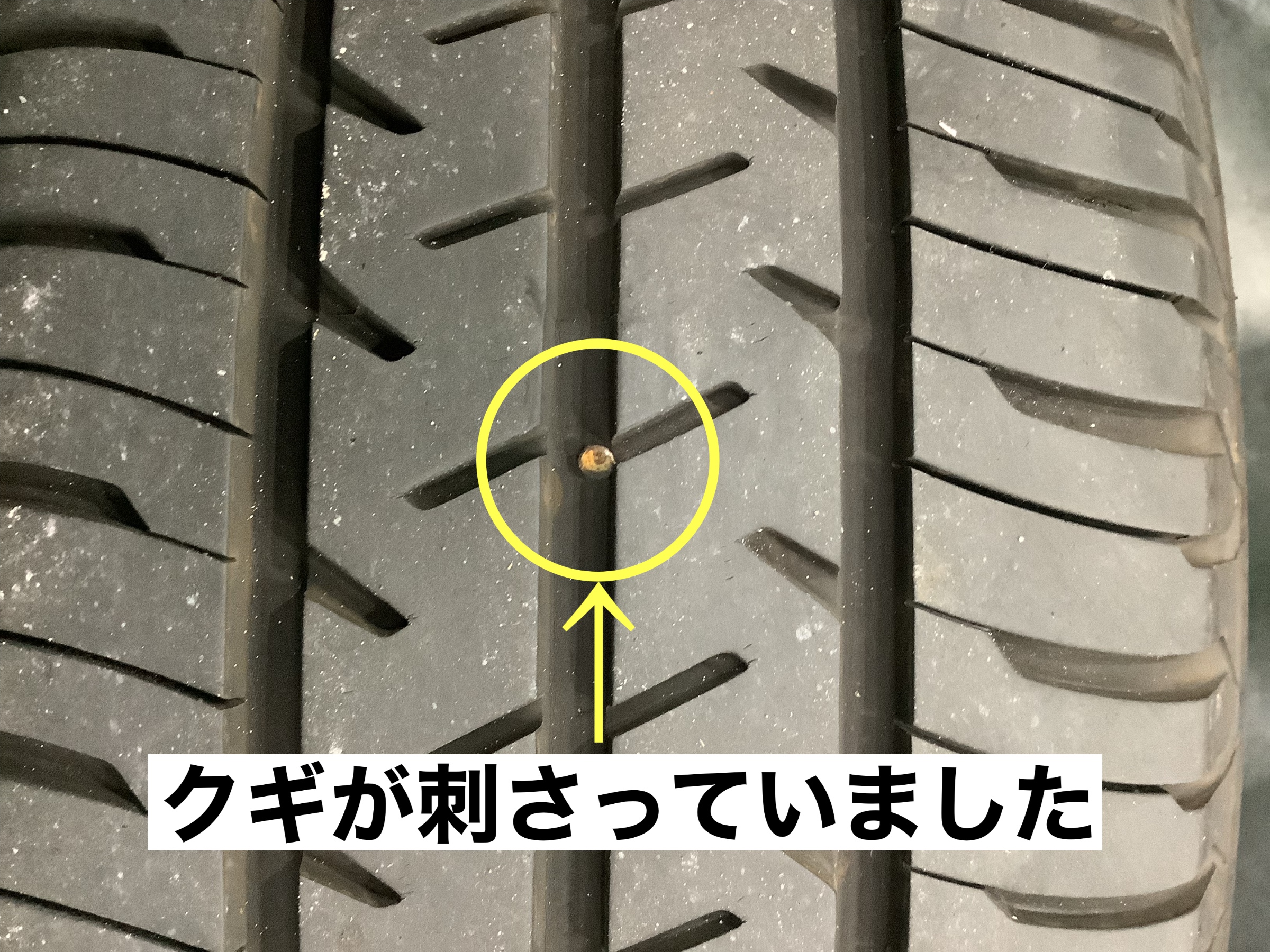 スタッフが撮影