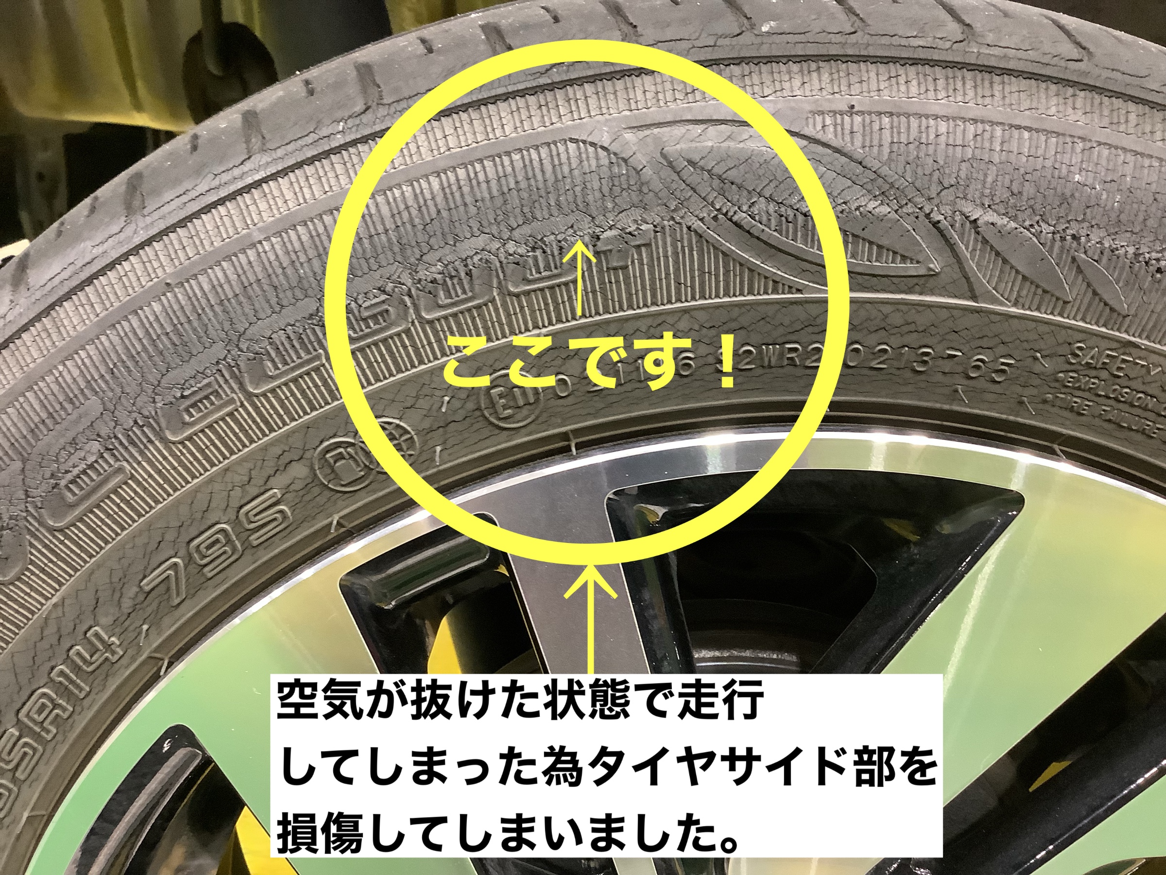 スタッフが撮影