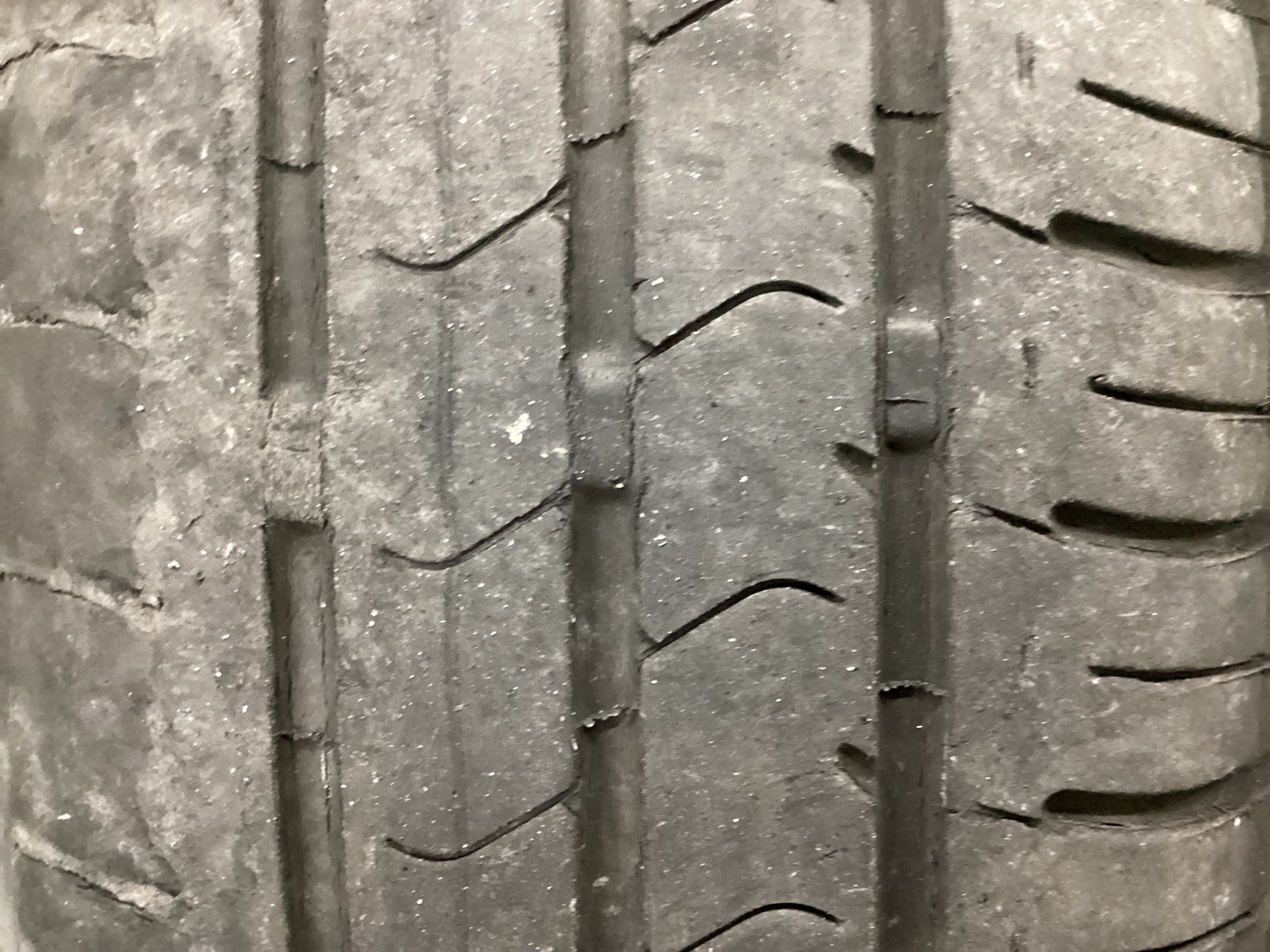 スタッフ撮影分