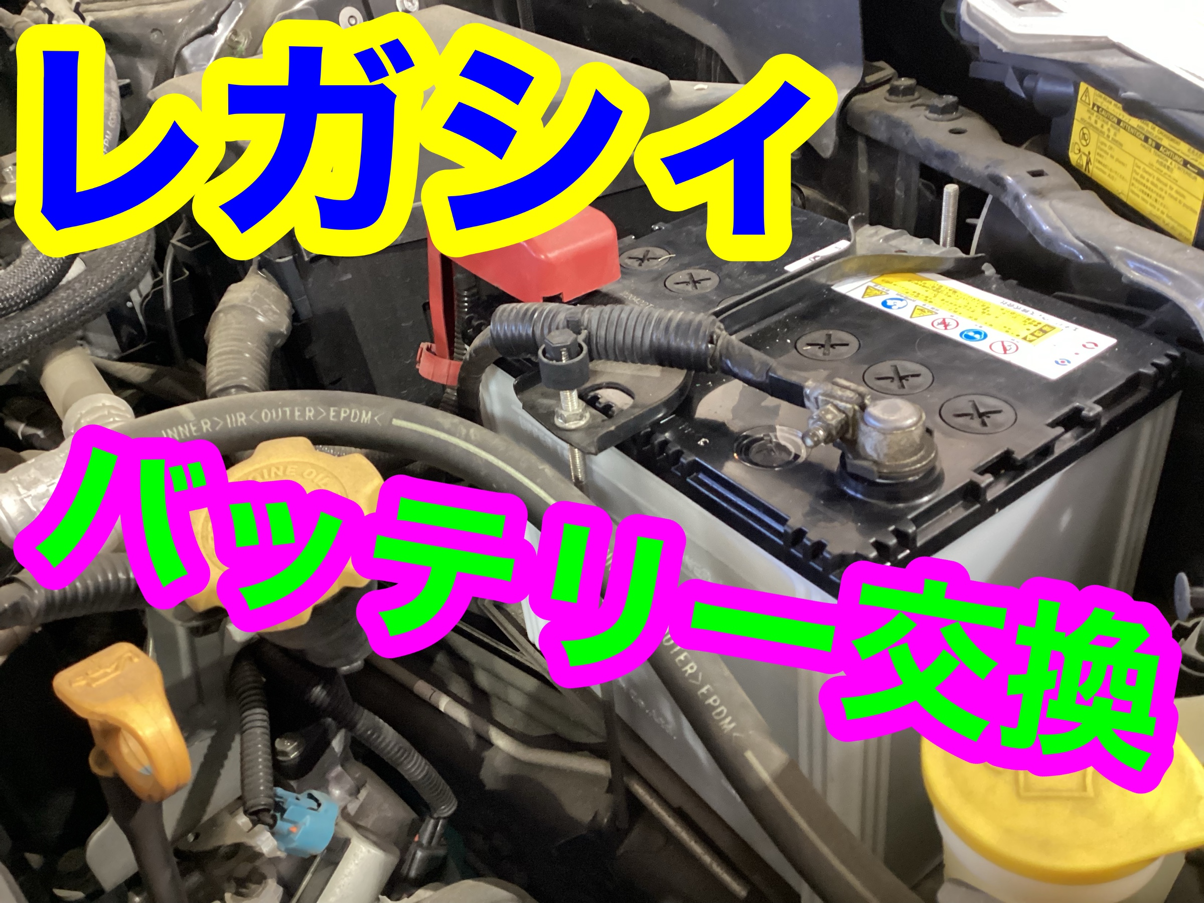 スタッフ撮影画像