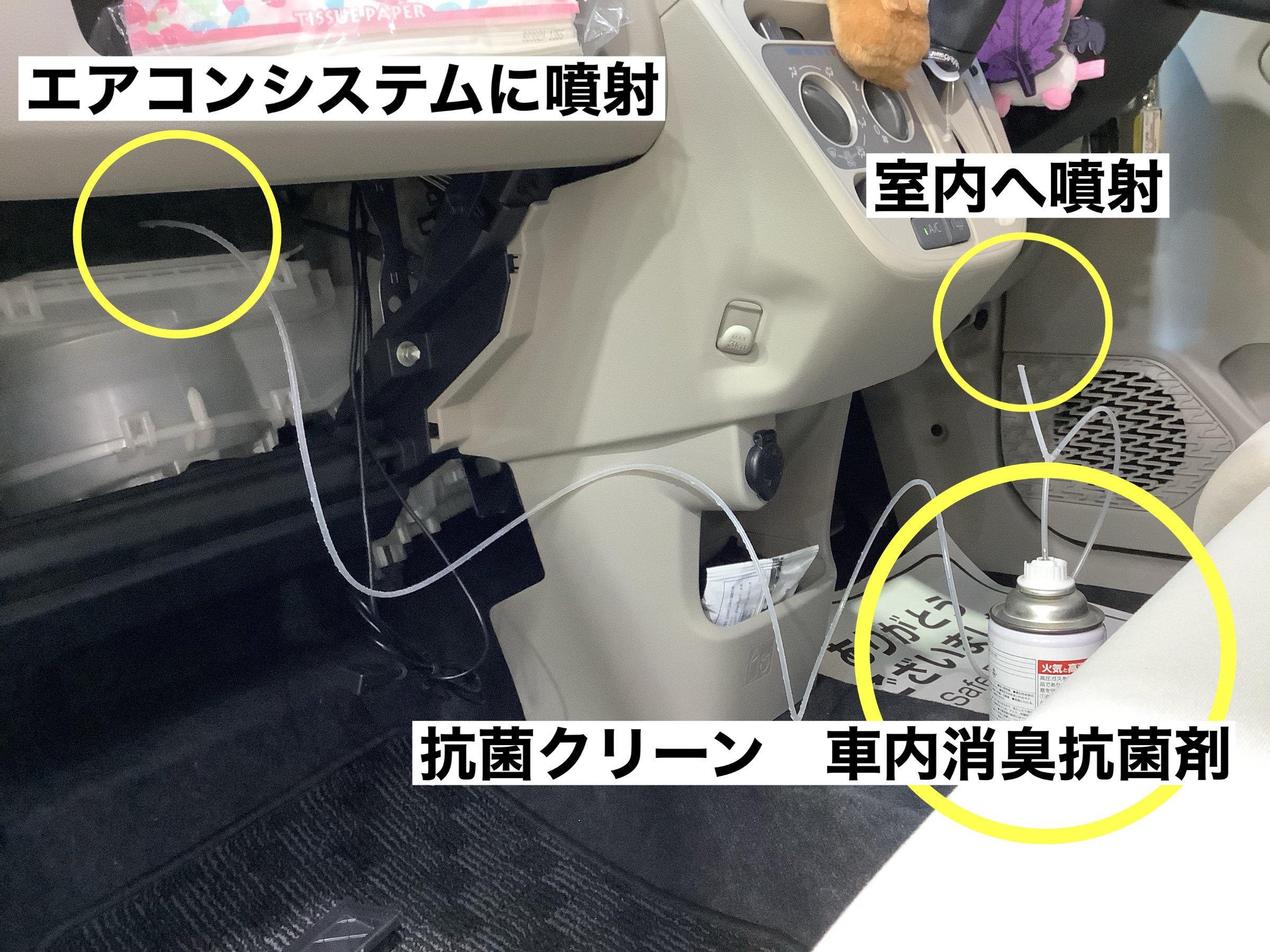 スタッフが撮影