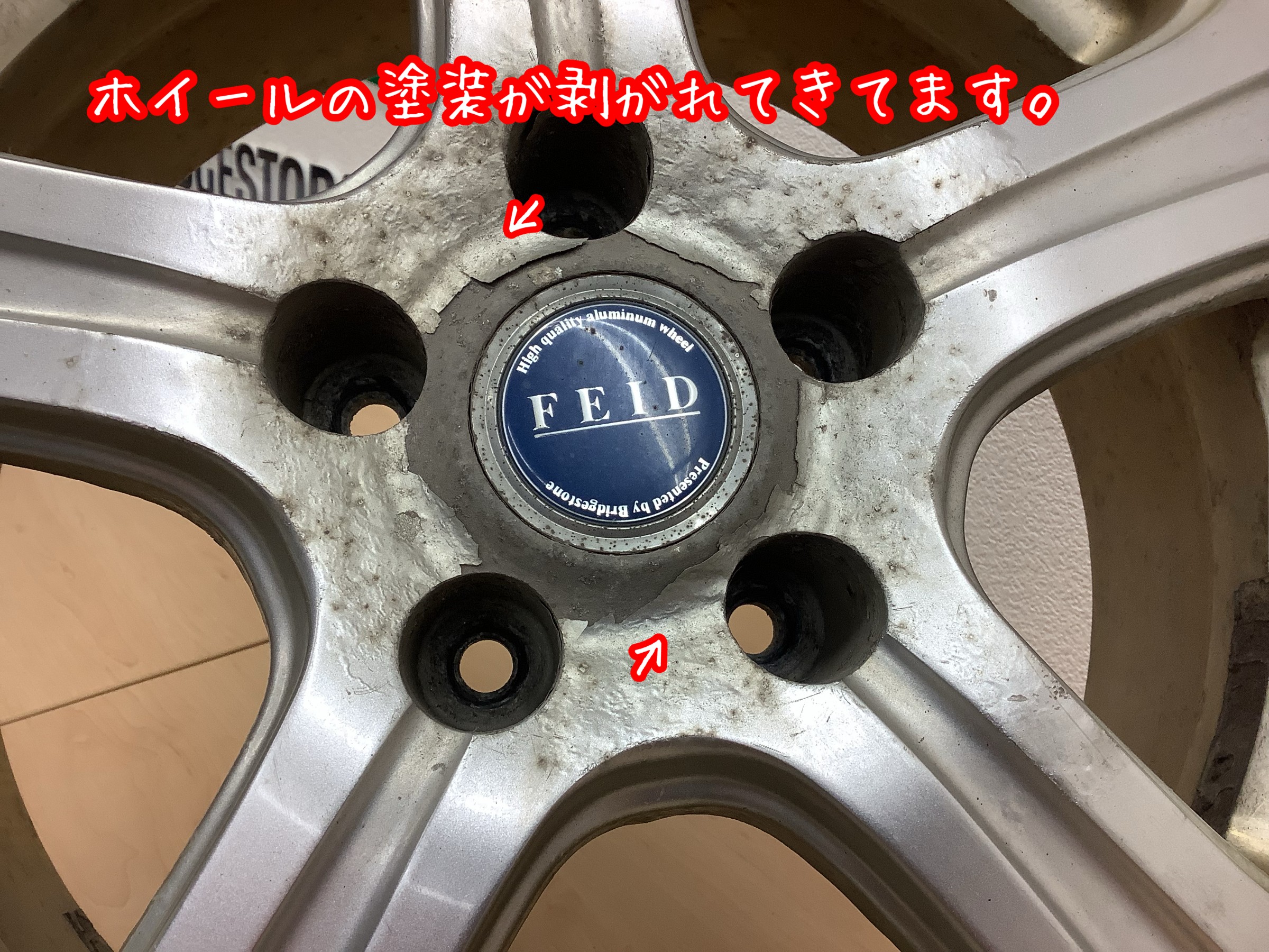 スタッフが撮影加工した画像