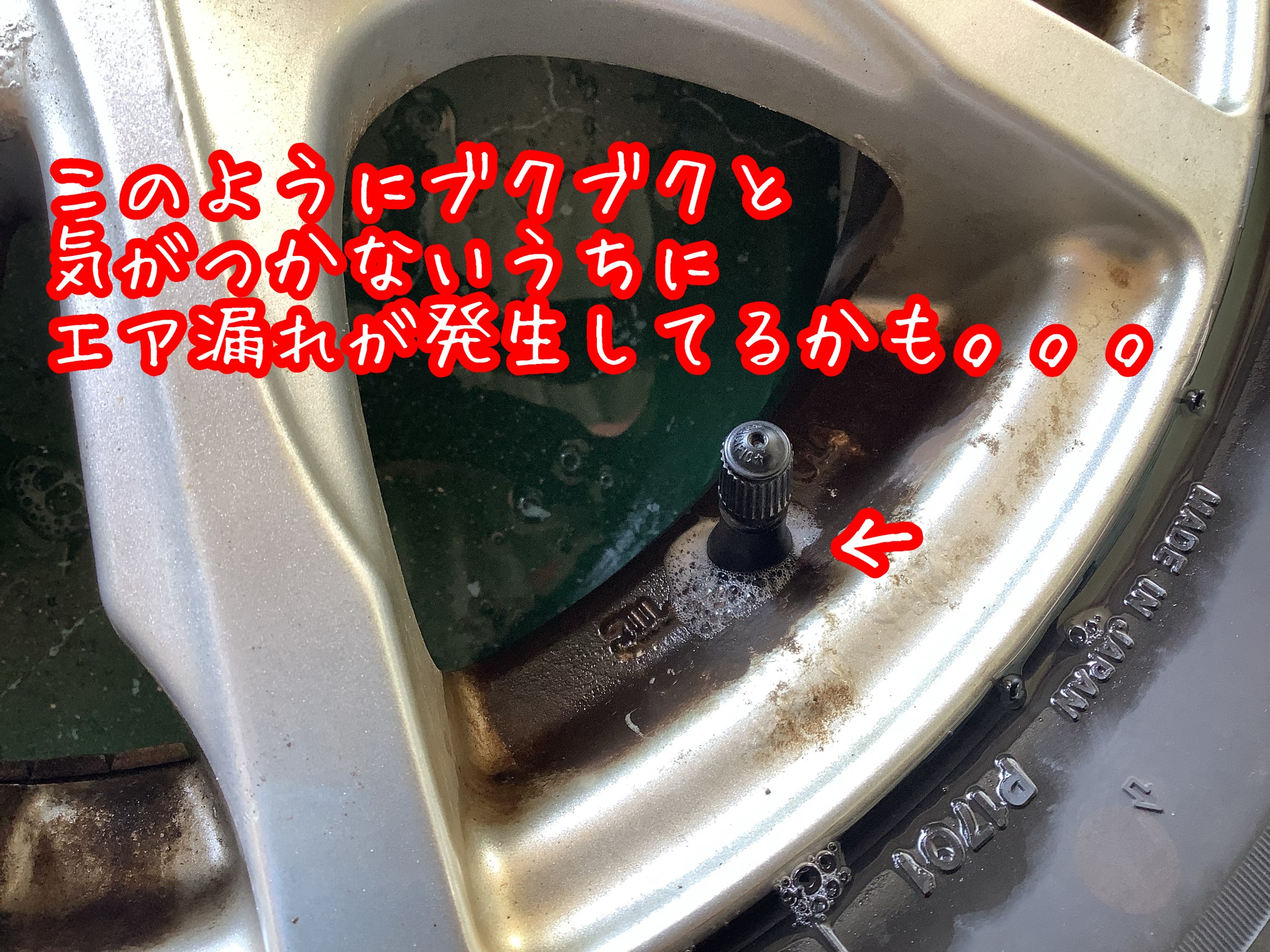 スタッフが撮影加工した画像