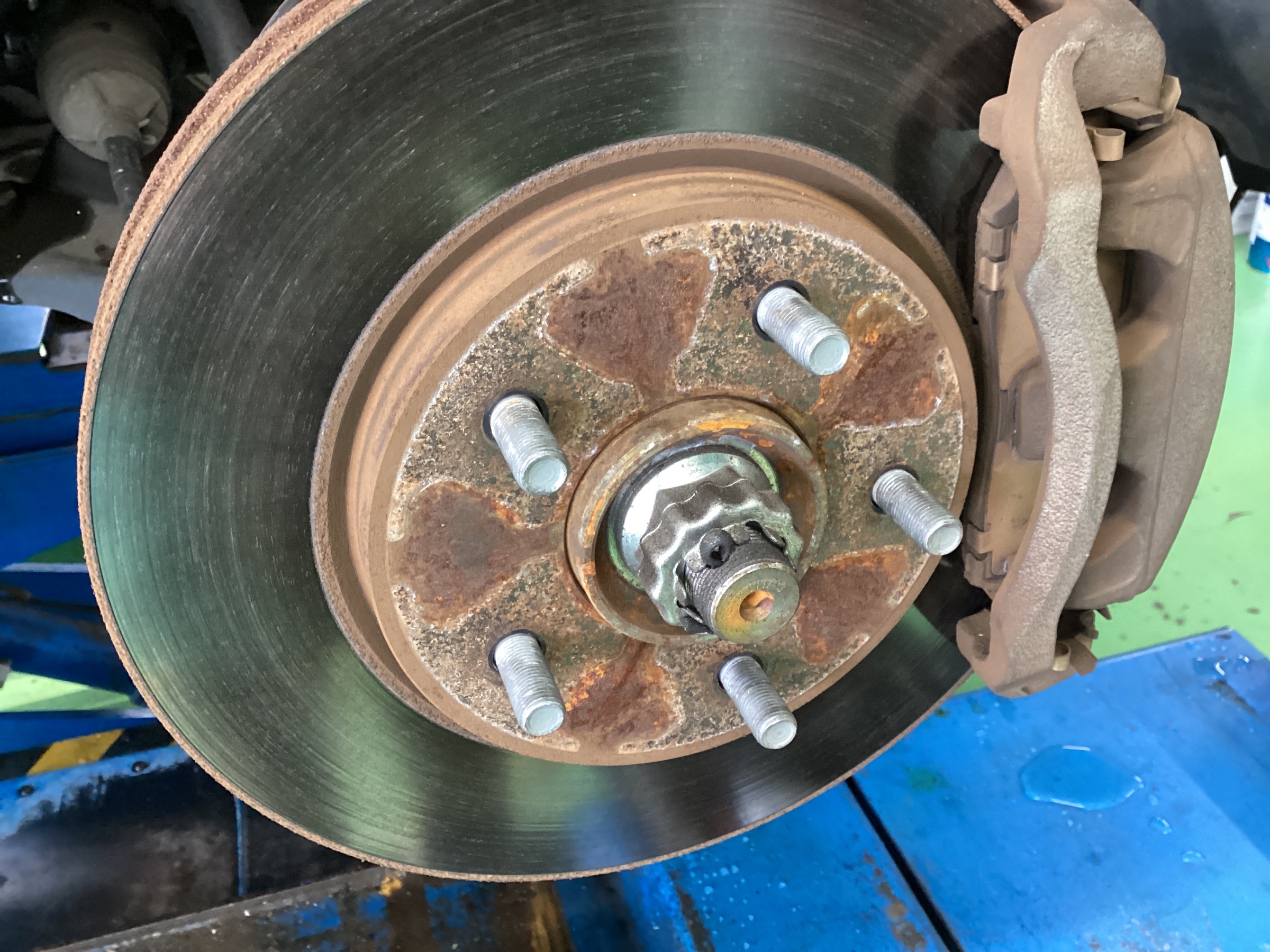 スタッフ撮影分