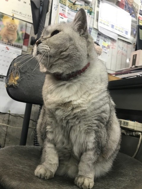 貫禄あります！