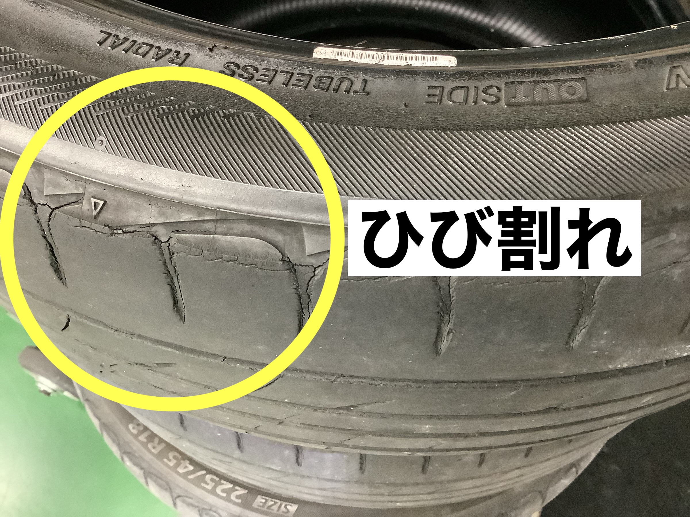 スタッフが撮影