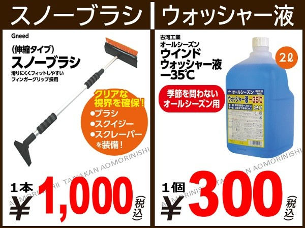 スタッフが撮影加工した画像